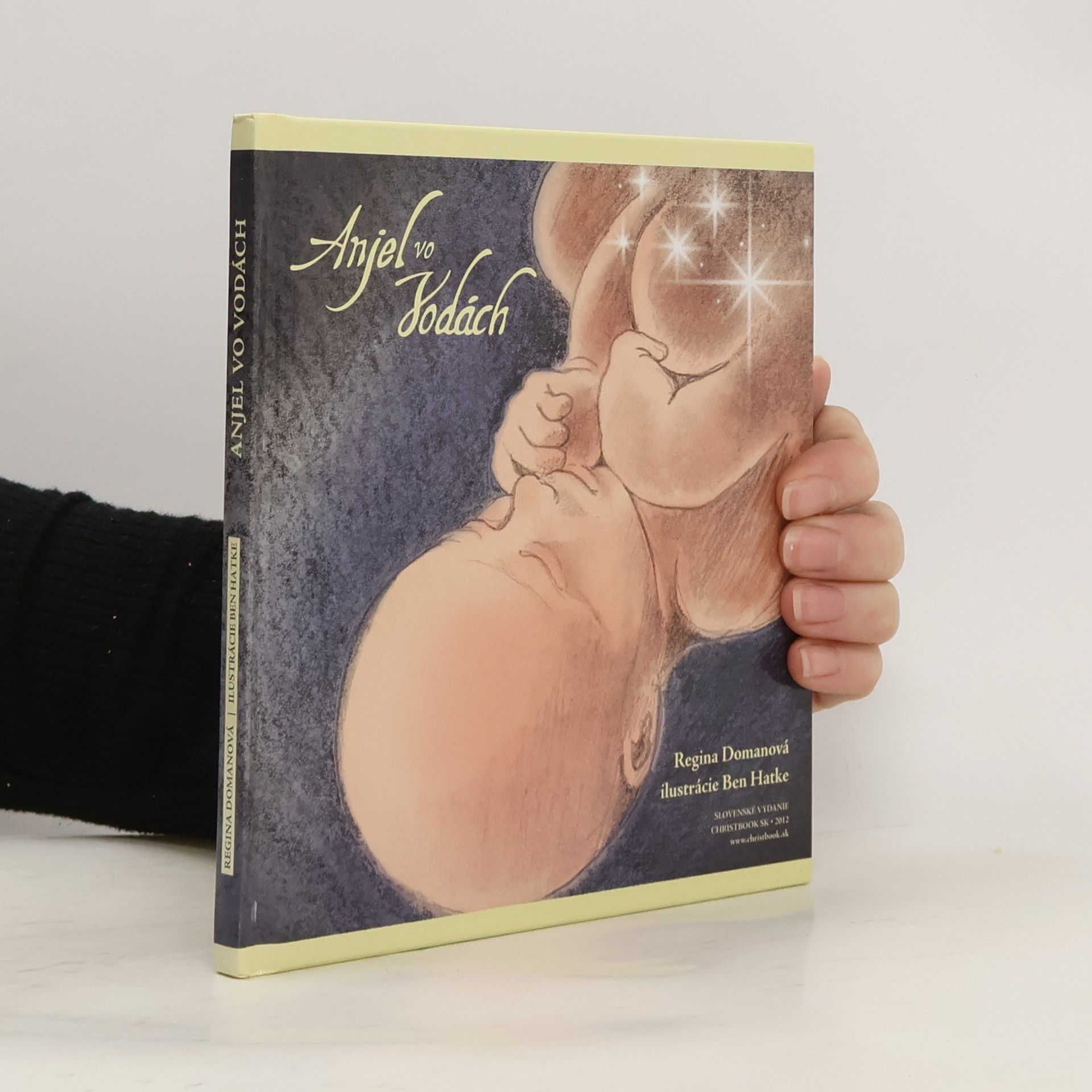 Regina Doman Anjel vo vodách