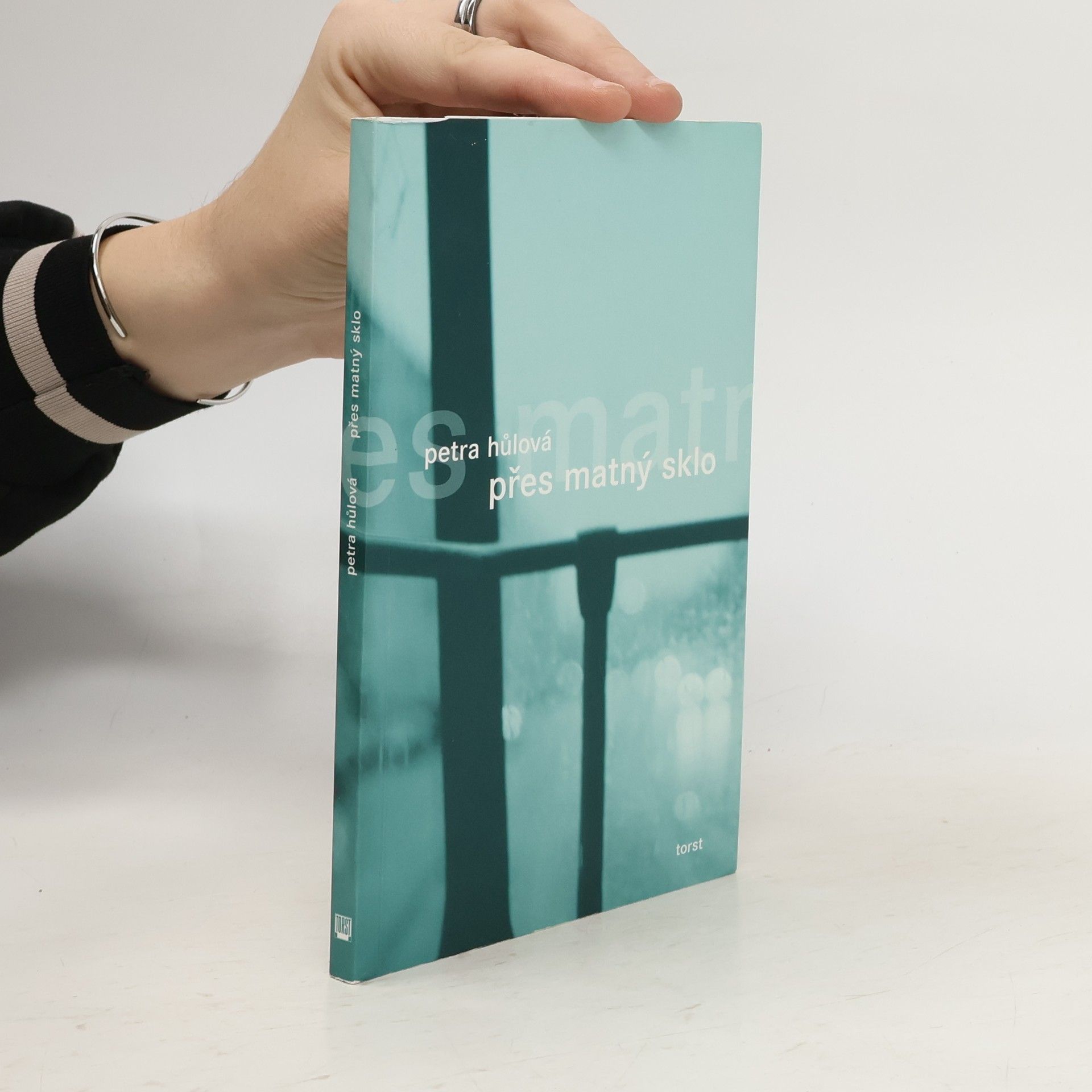 Hůlová Petra Přes matný sklo