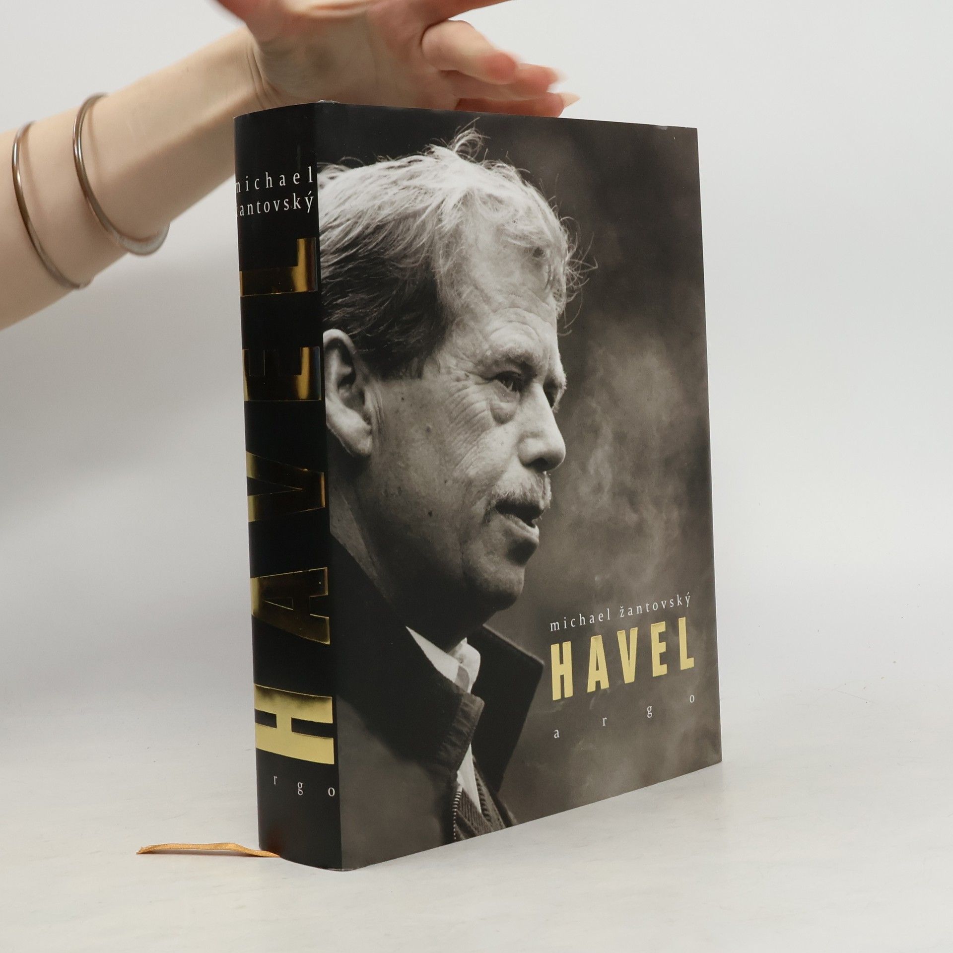 Michael Žantovský Havel