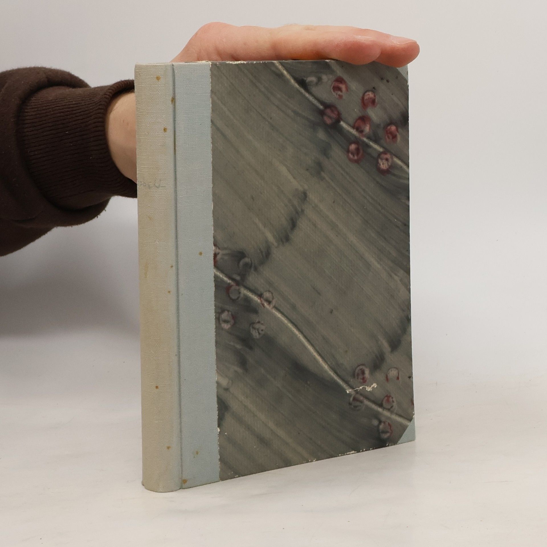 Augustin Wibbelt De Pastor von Driebeck