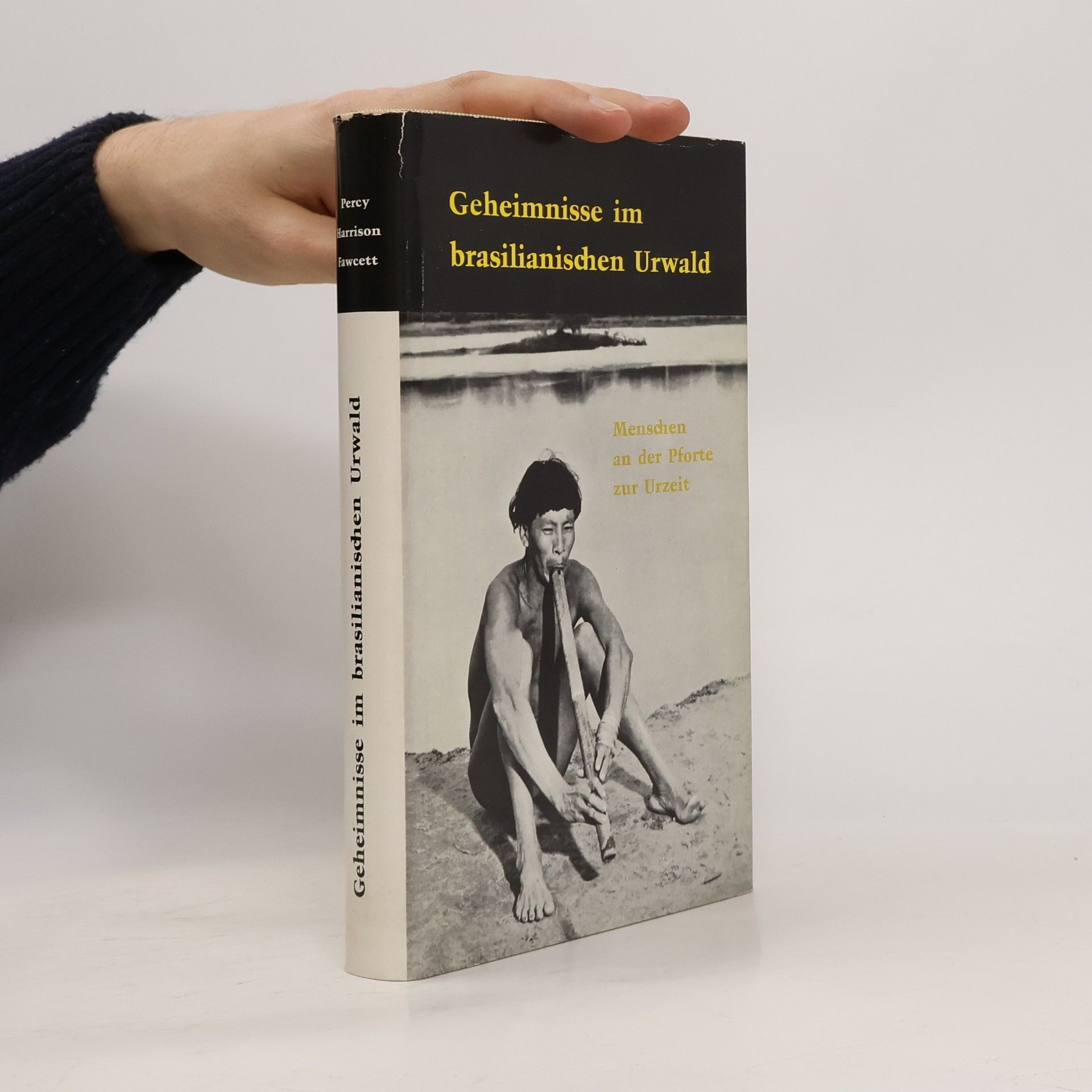 Geheimnisse im brasilianischen Urwald