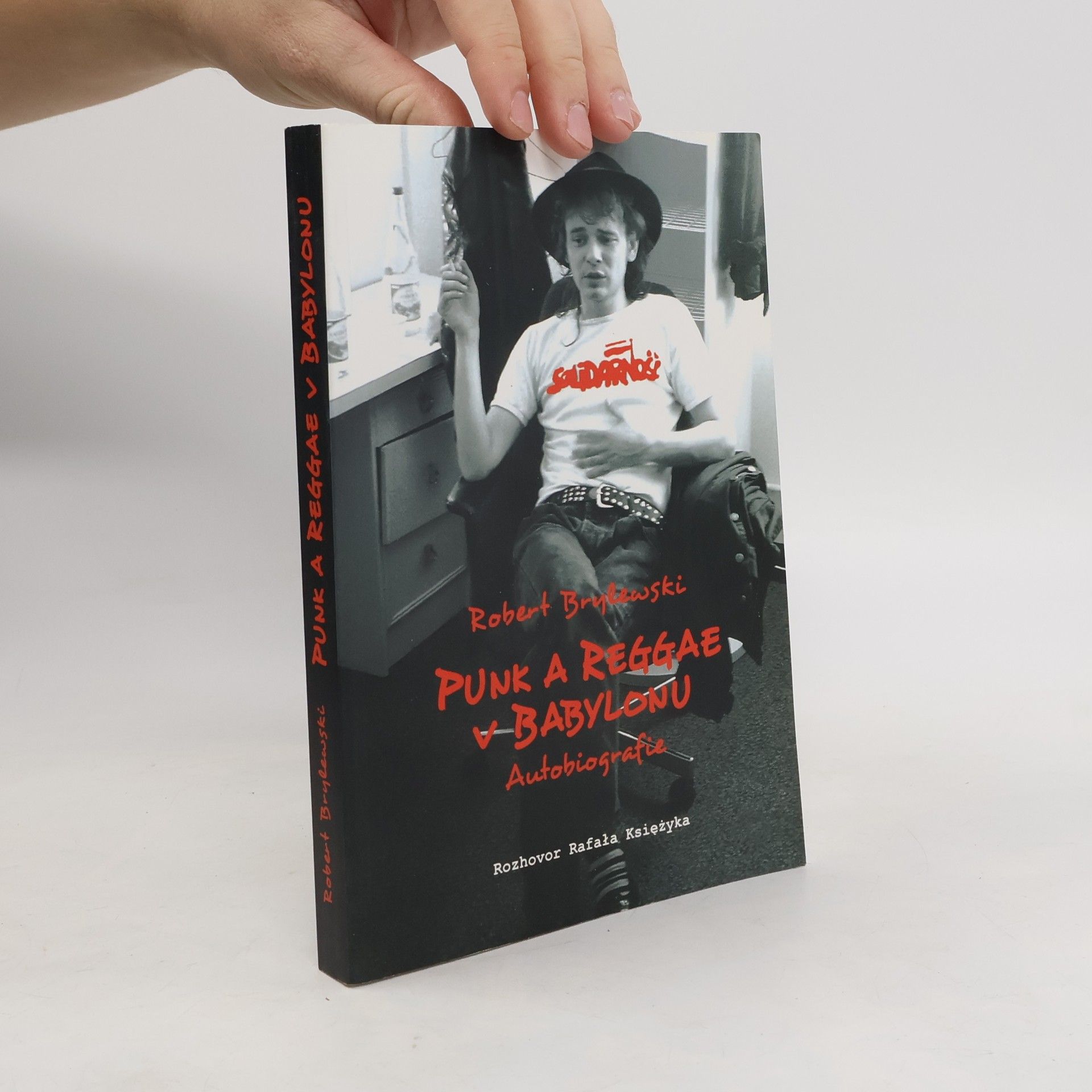 Robert Brylewski Punk a reggae v Babylonu
