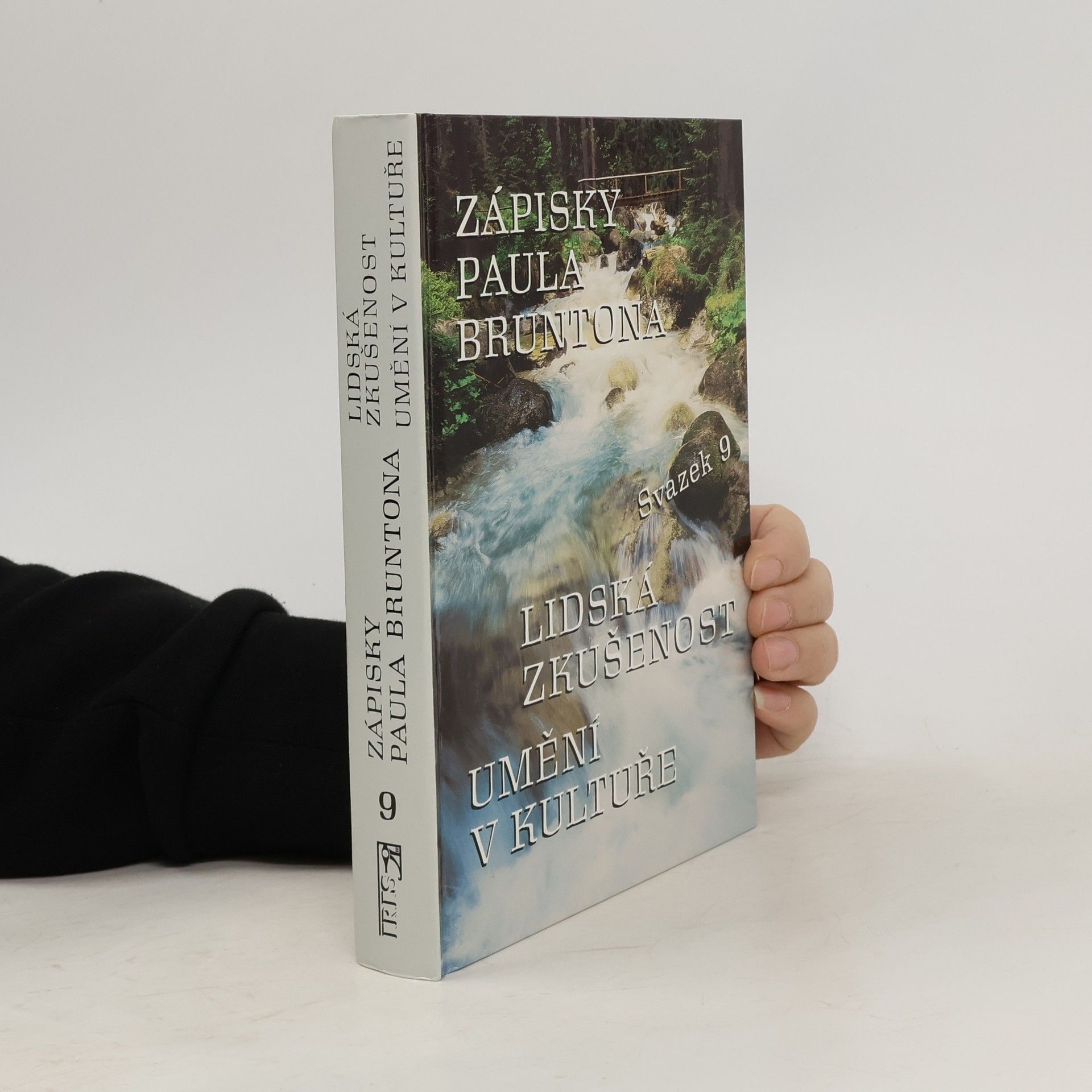 Paul Brunton Zápisky Paula Bruntona 9. Lidská zkušenost. Umění v kultuře