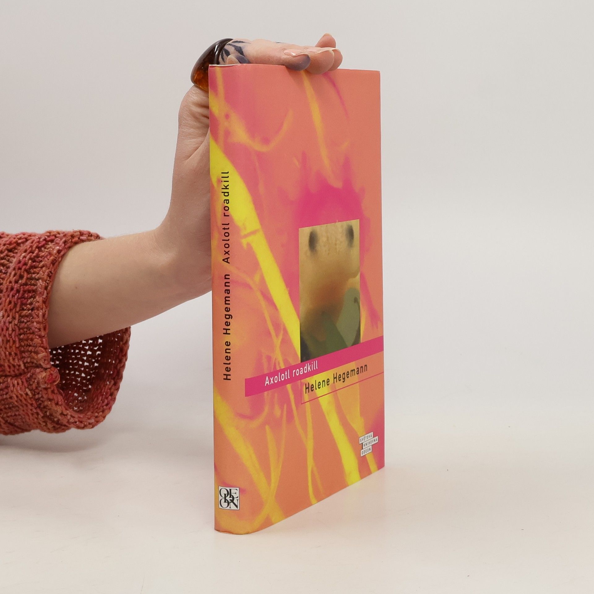 Helene Hegemann Axolotl roadkill