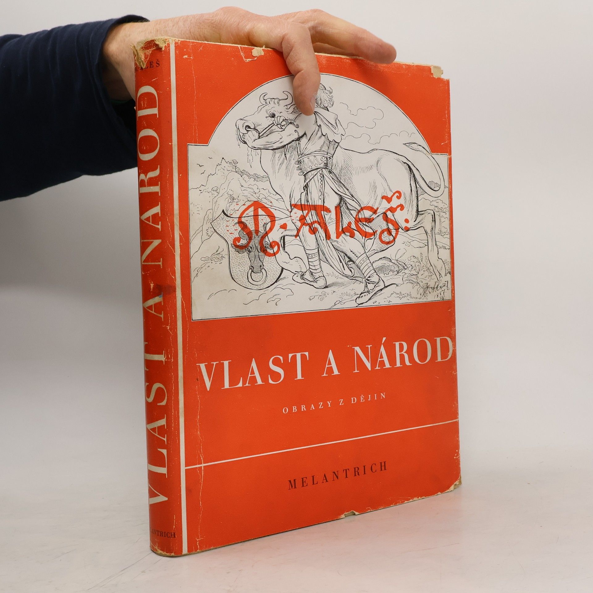 Svobodová Alšová Maryna Vlast a národ. Obrazy z dějin