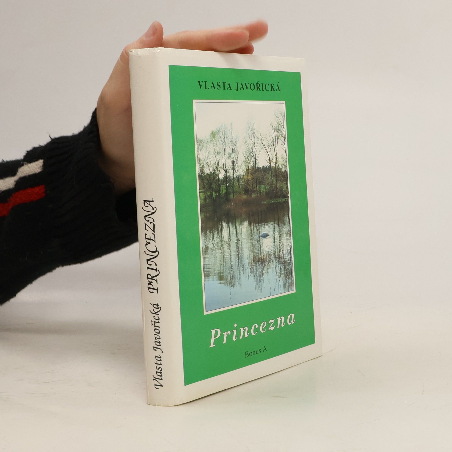 Vlasta Javořická Princezna : román dívky dvacátého století
