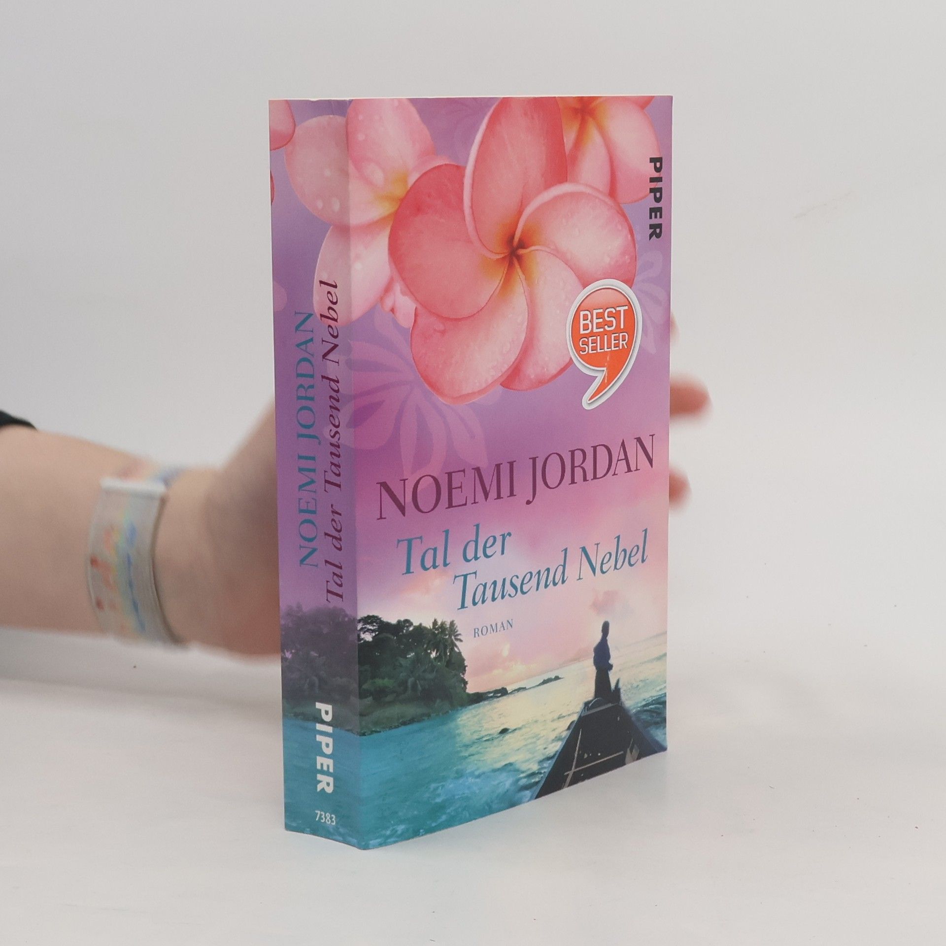 Nicole Houwer Tal der Tausend Nebel