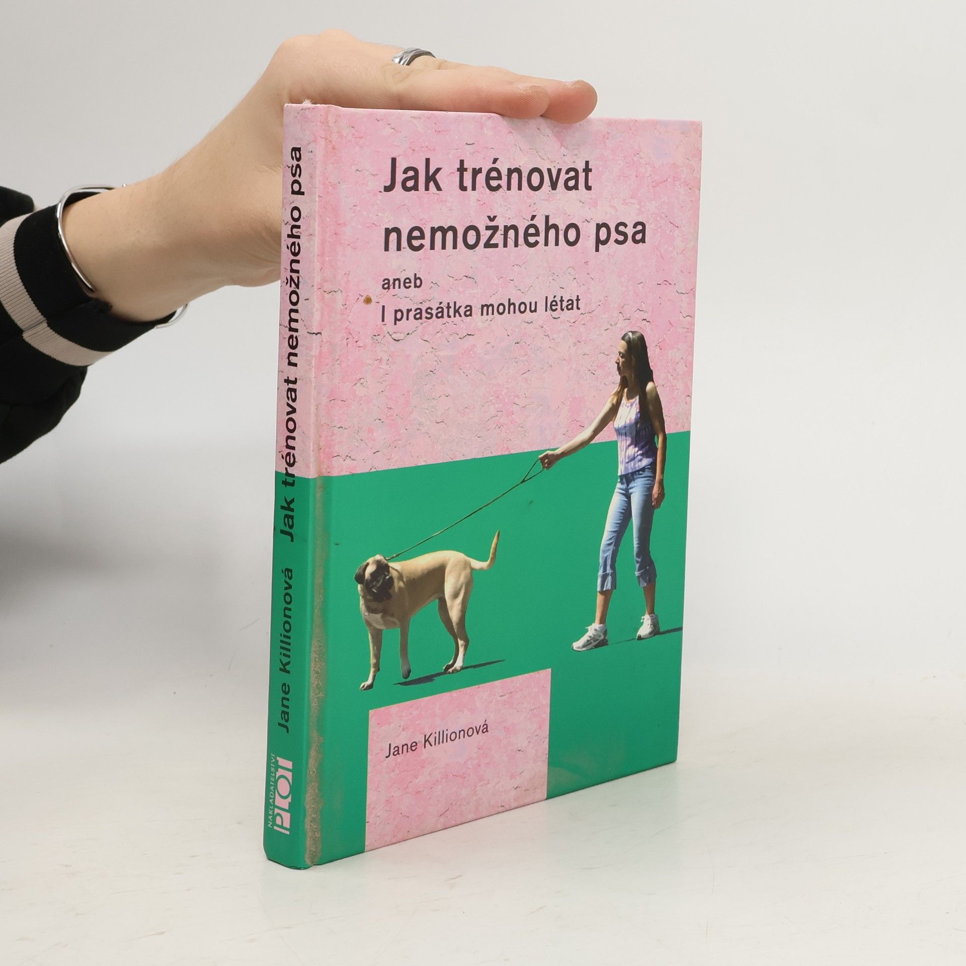 Jane Killion Jak trénovat nemožného psa. I prasátka mohou létat