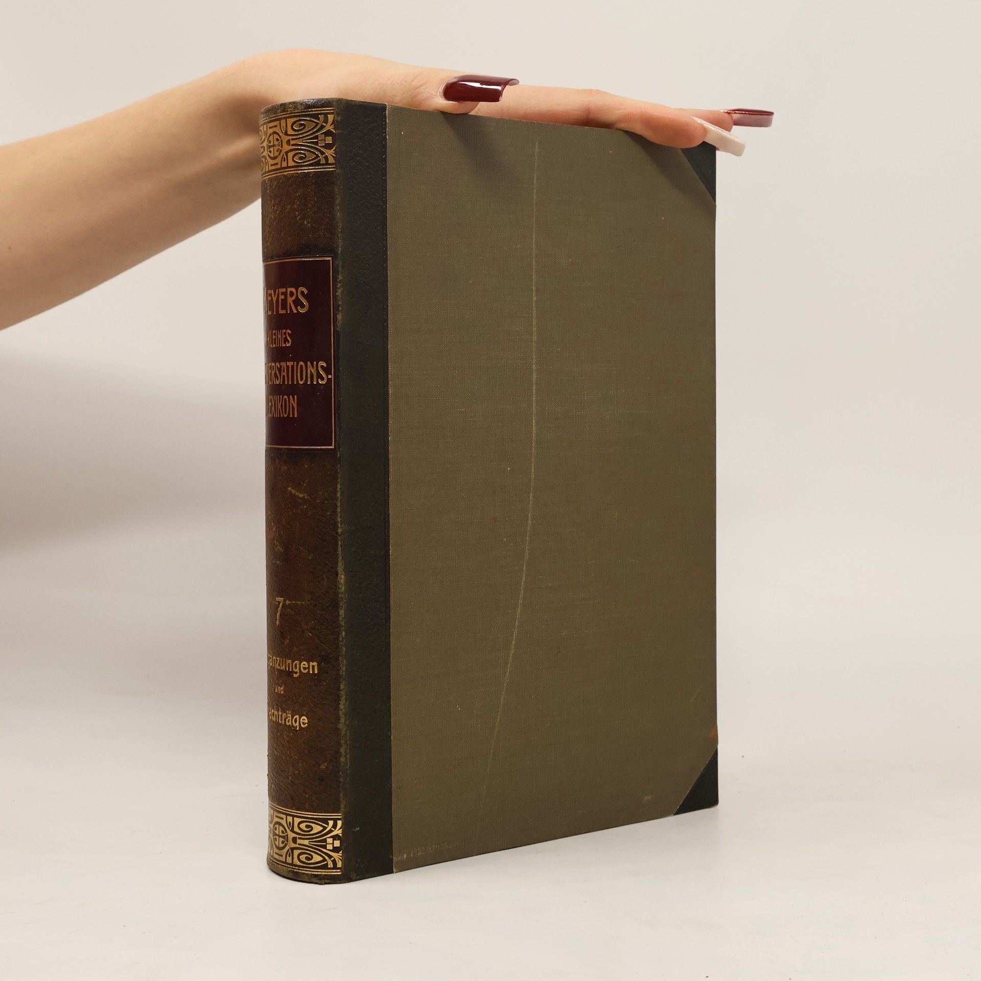 Meyers kleines Konversations-Lexikon 7