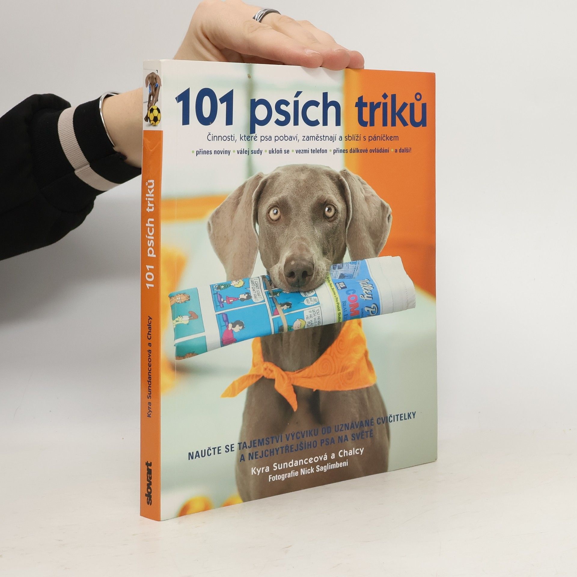 Kyra Sundance 101 psích triků : činnosti, které psa pobaví, zaměstnají a sblíží s páníčkem - krok za krokem
