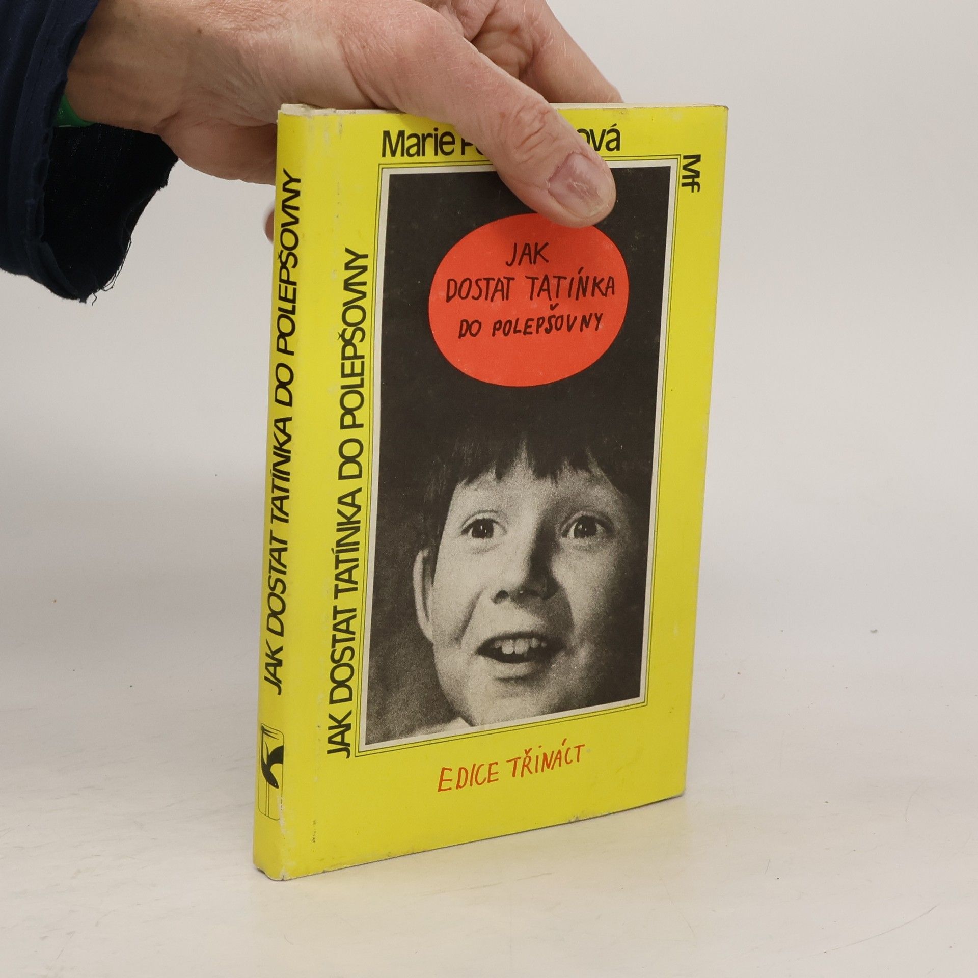 Jak dostat tatínka do polepšovny