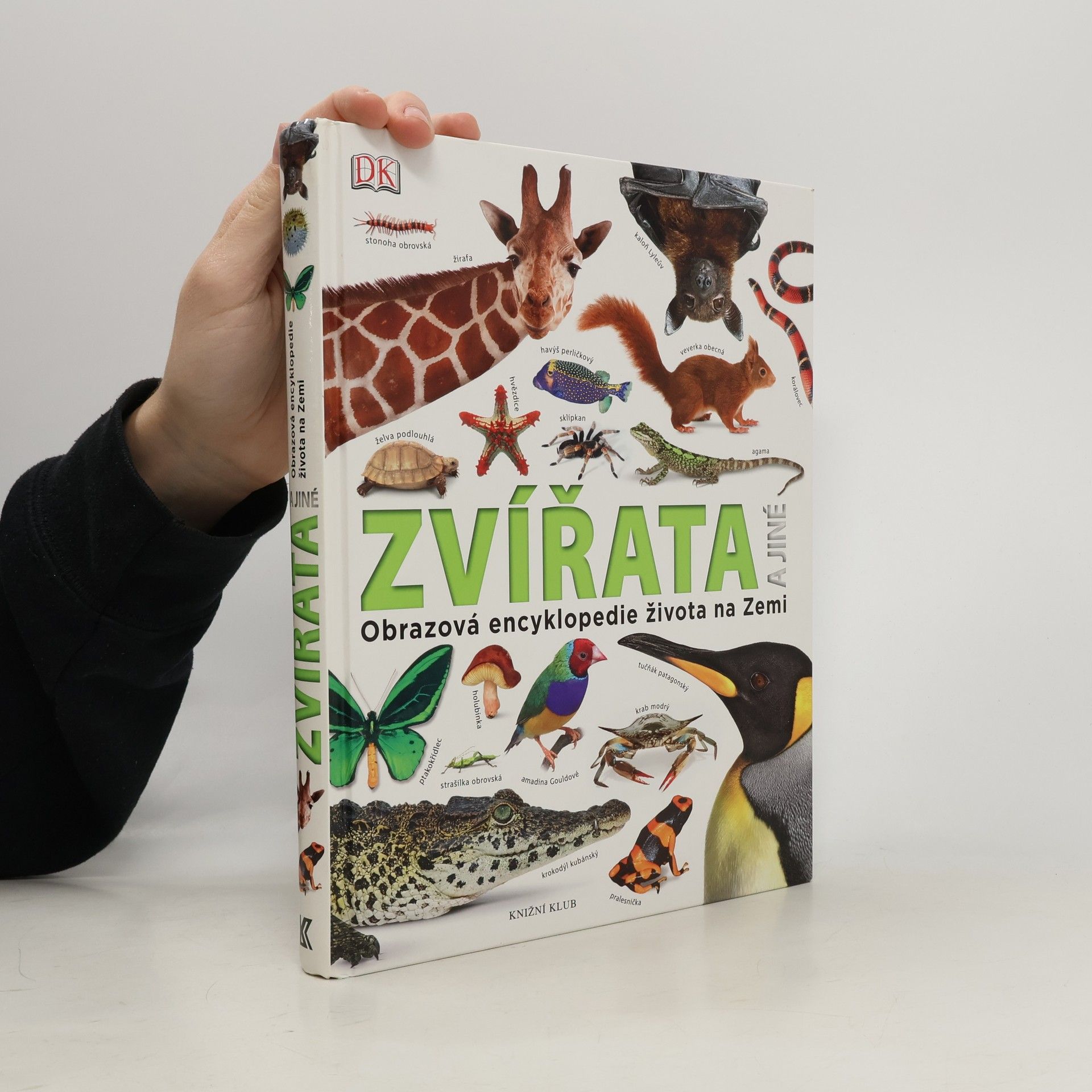 Various authors Zvířata a jiné. Obrazová encyklopedie života na Zemi