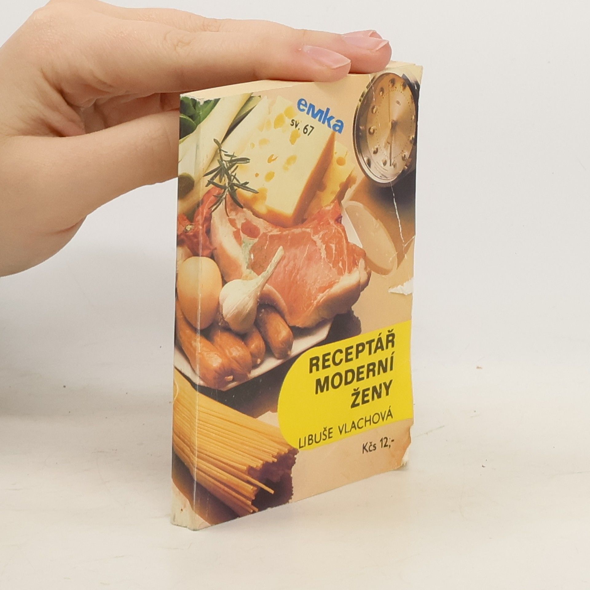 Libuše Vlachová Receptář moderní ženy