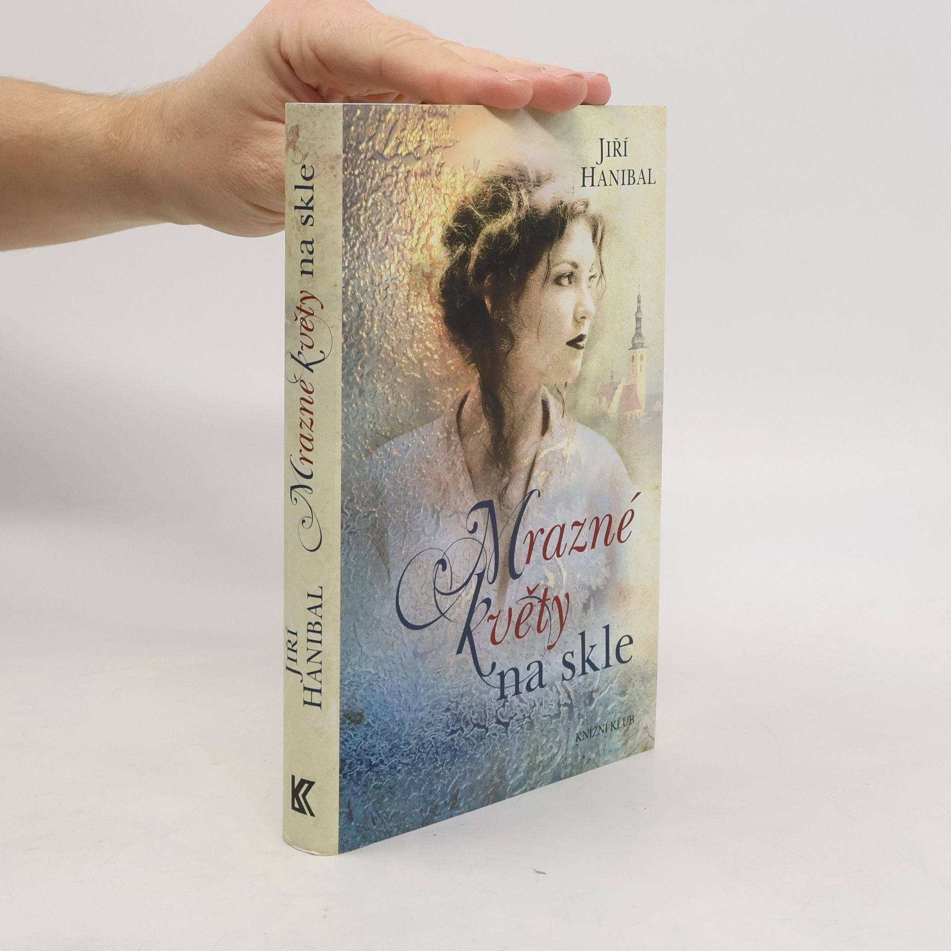 Jirí Hanibal Mrazné květy na skle