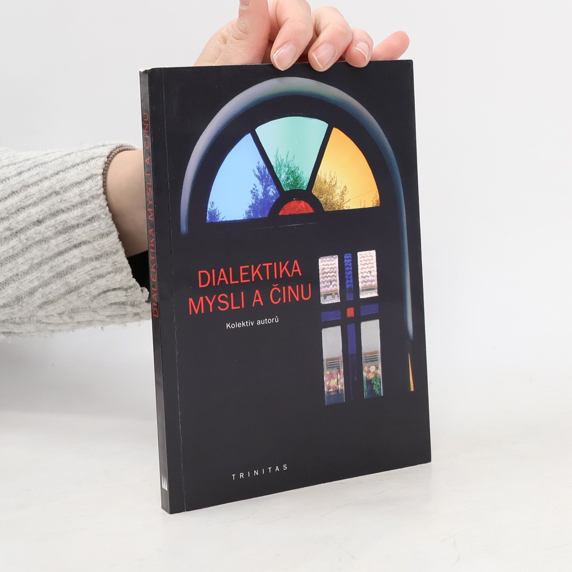 Auteurscollectief Dialektika mysli a činu