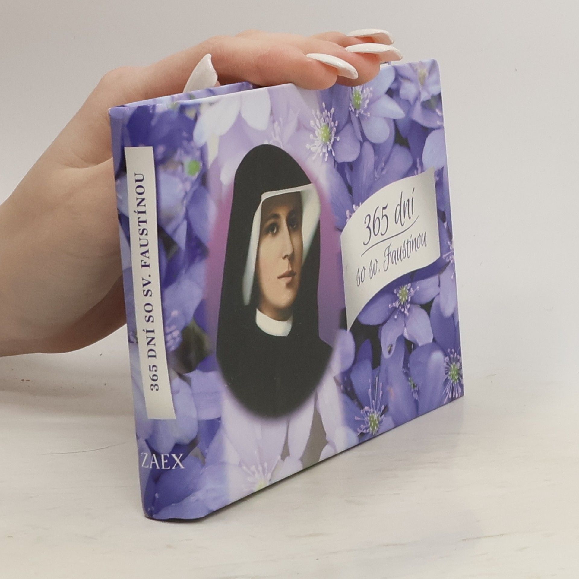 Auteurscollectief 365 dní so sv. Faustinou
