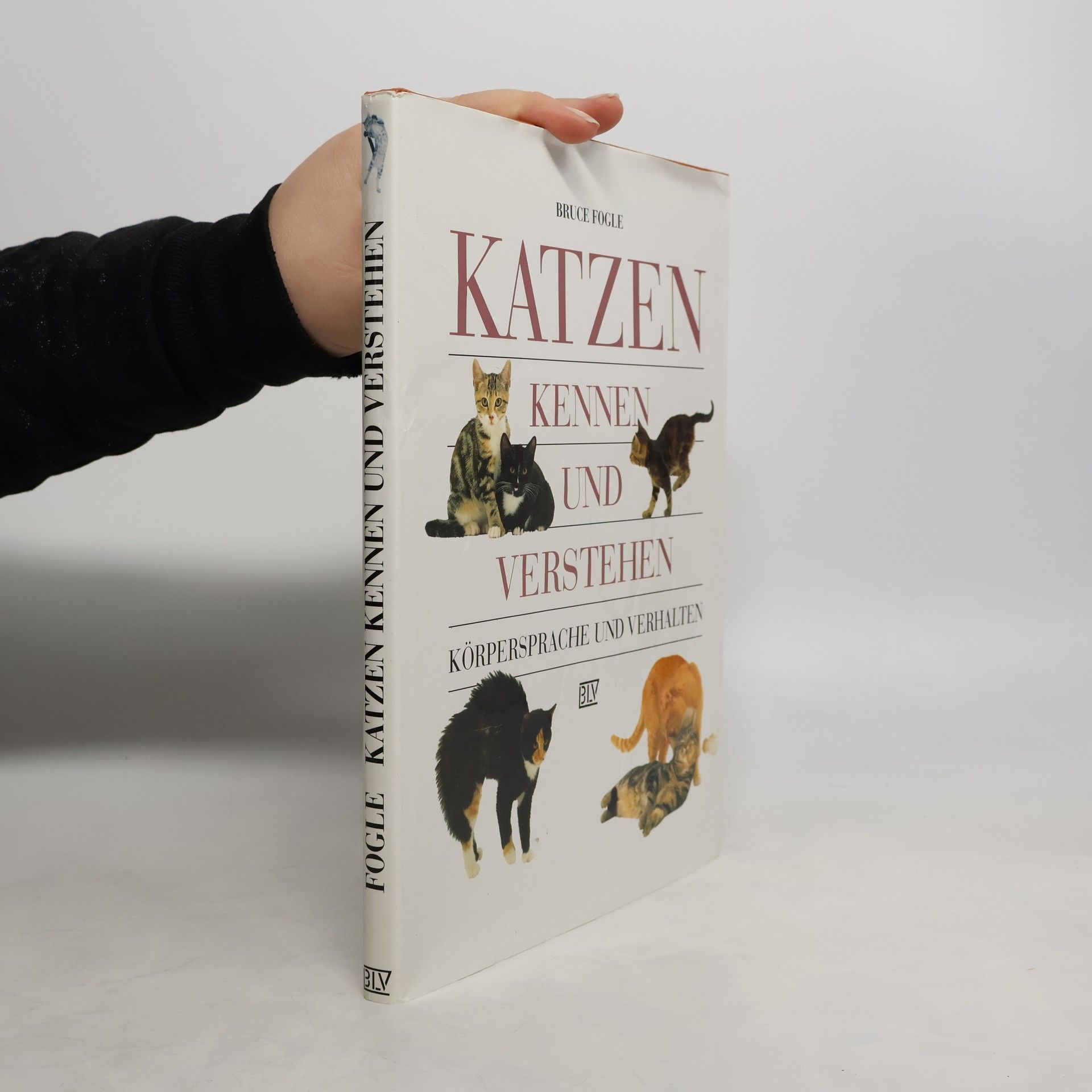 Bruce Folge Katzen kennen und verstehen