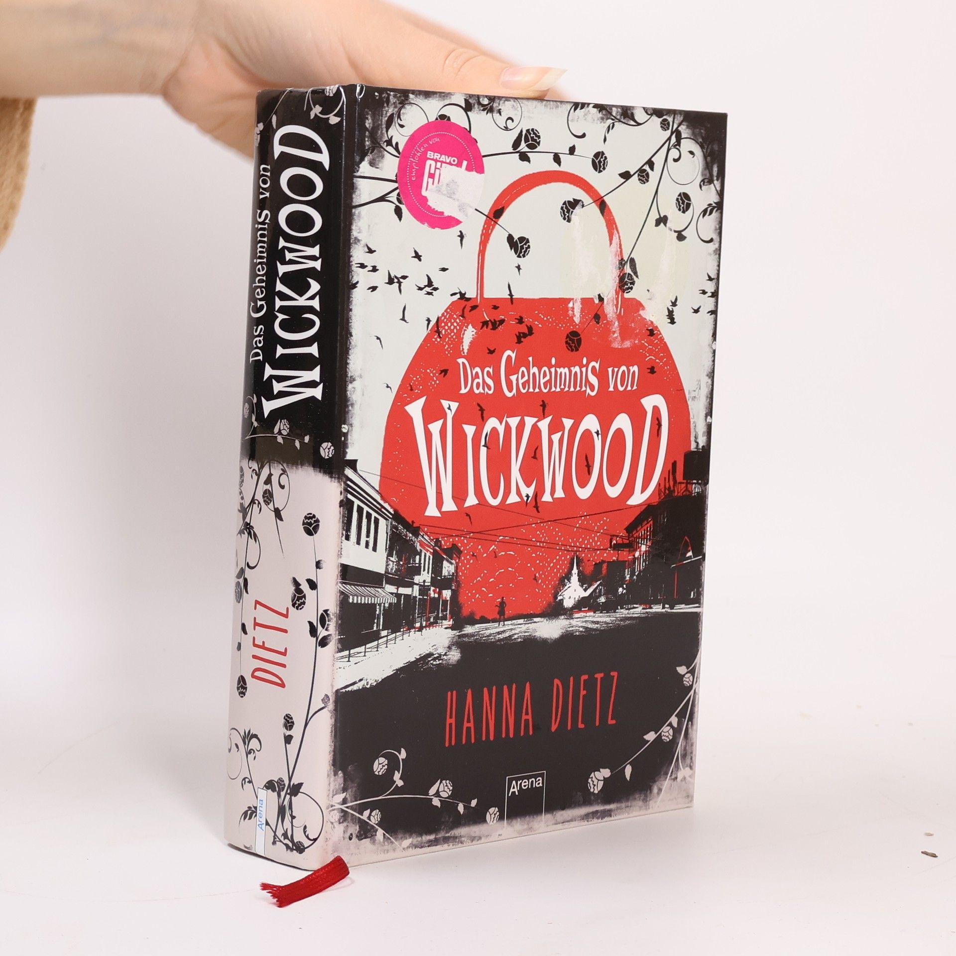 Hanna Dietz Das Geheimnis von Wickwood