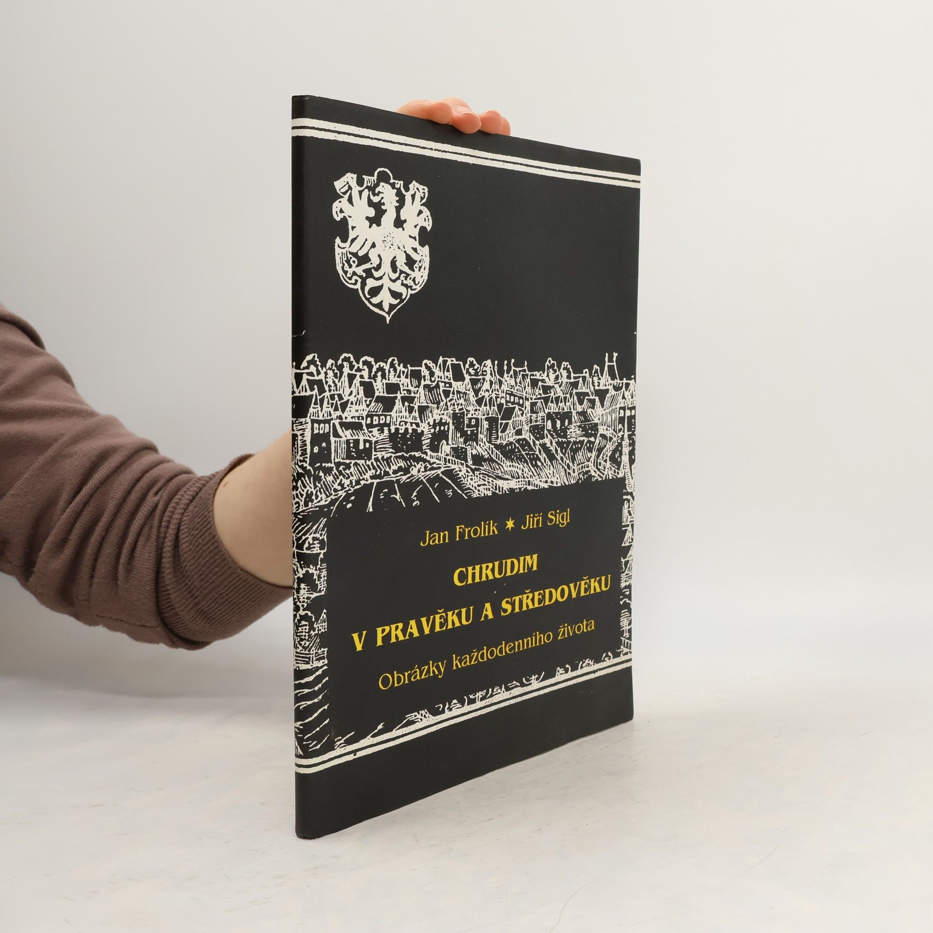 Jan Frolík Chrudim v pravěku a středověku. Obrazy každodenního života