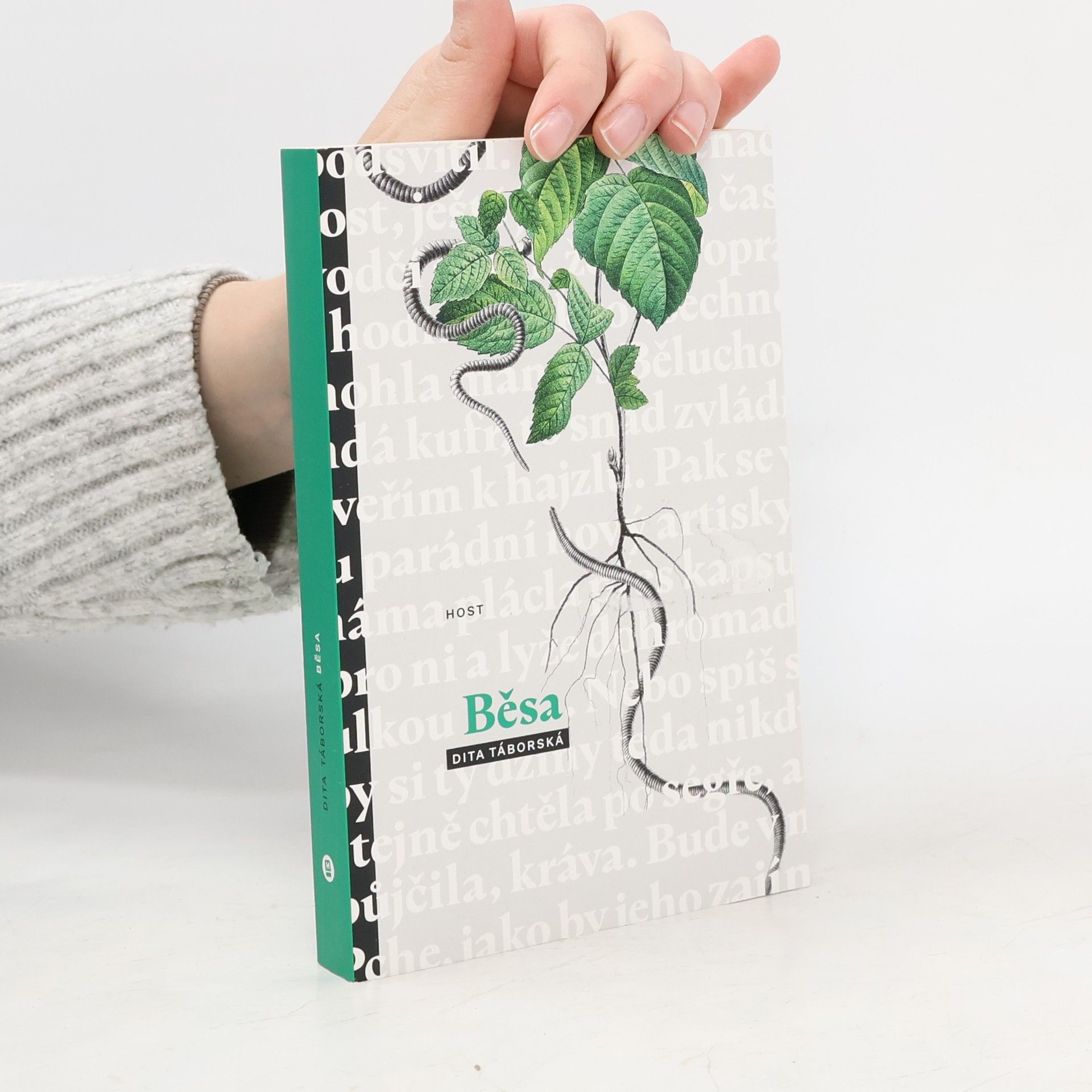 Dita Táborská Běsa