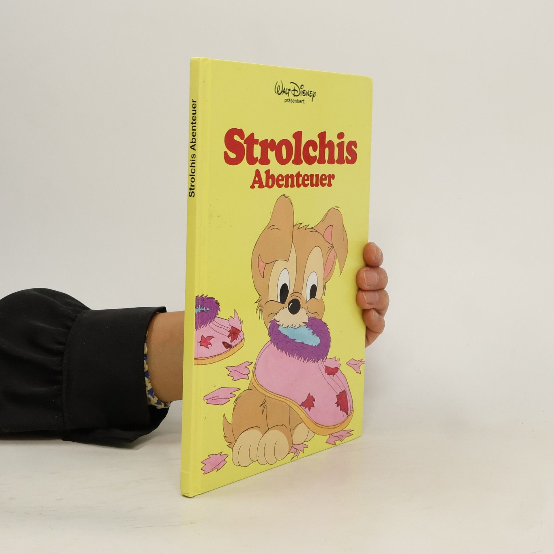 Autorenkollektiv Strolchis Abenteuer