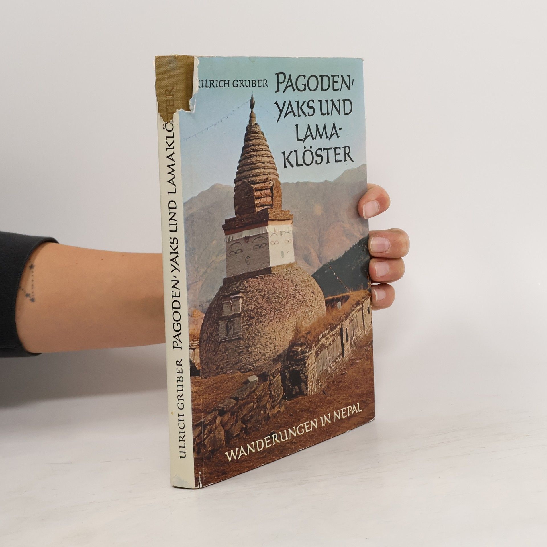 Pagoden, Yaks und Lamaklöster