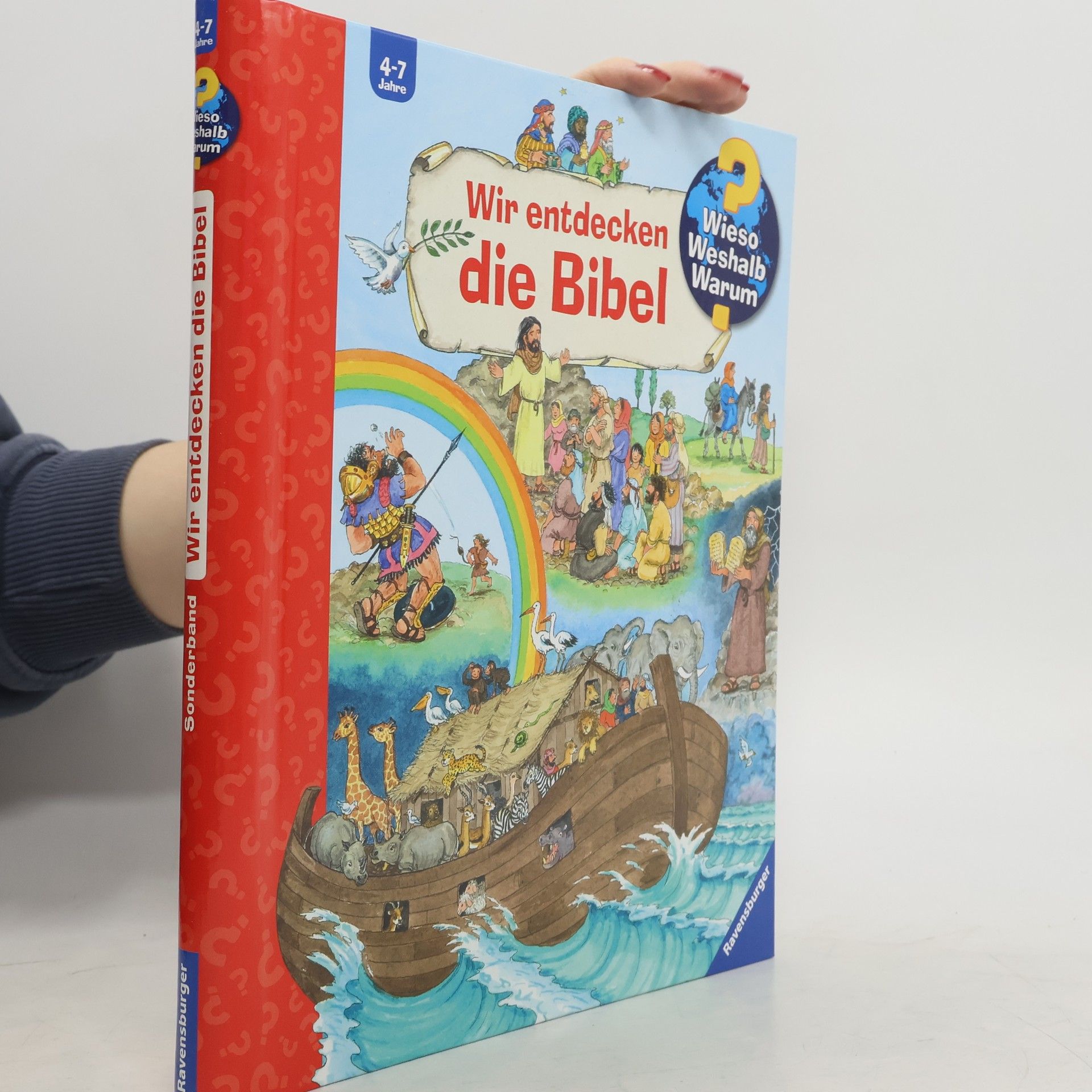 Andrea Erne Wir entdecken die Bibel