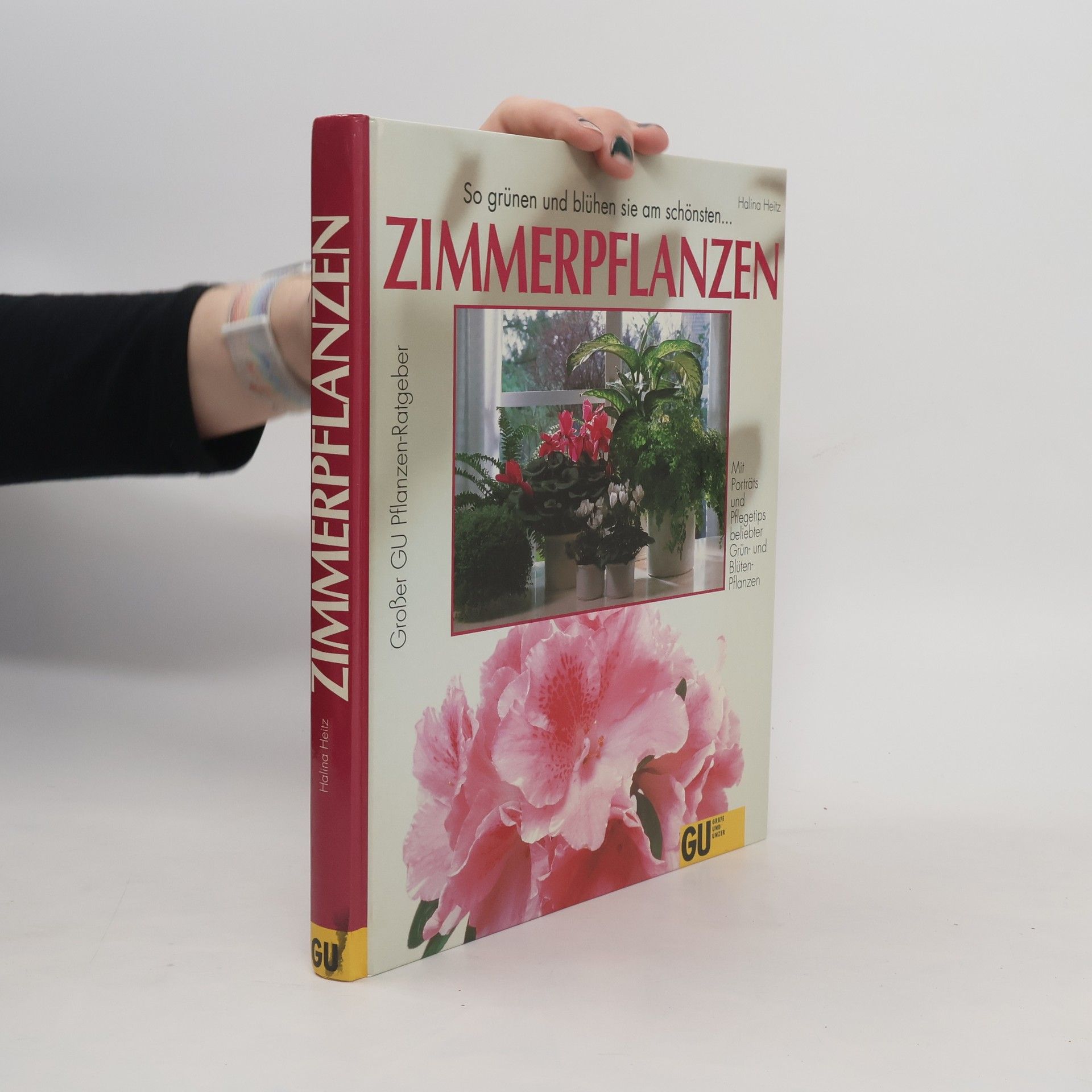 Halina Heitz Zimmerpflanzen