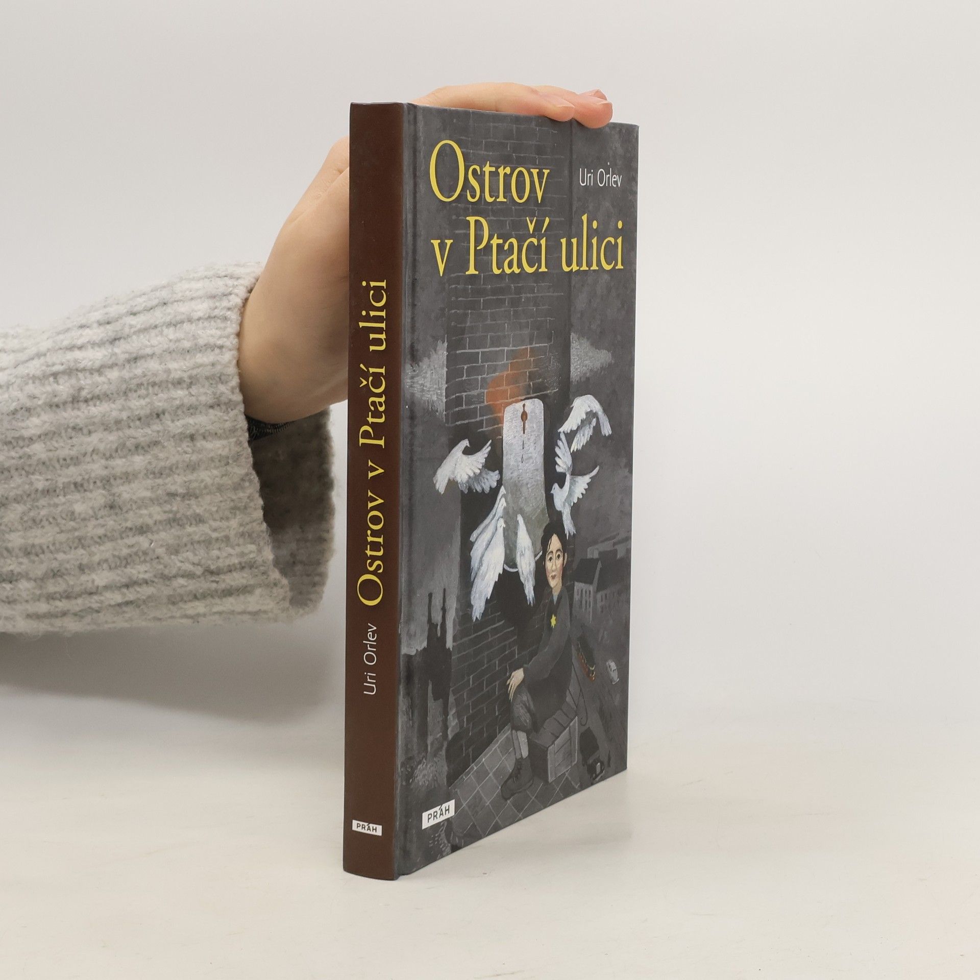 Uri Orlev Ostrov v Ptačí ulici