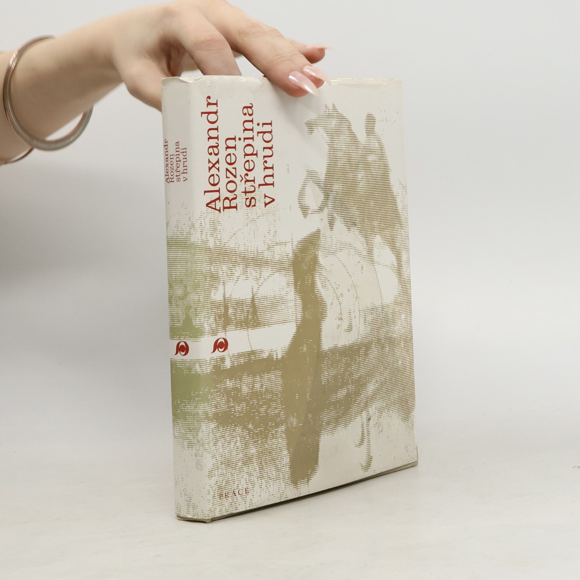 Alexandr Rozen Střepina v hrudi