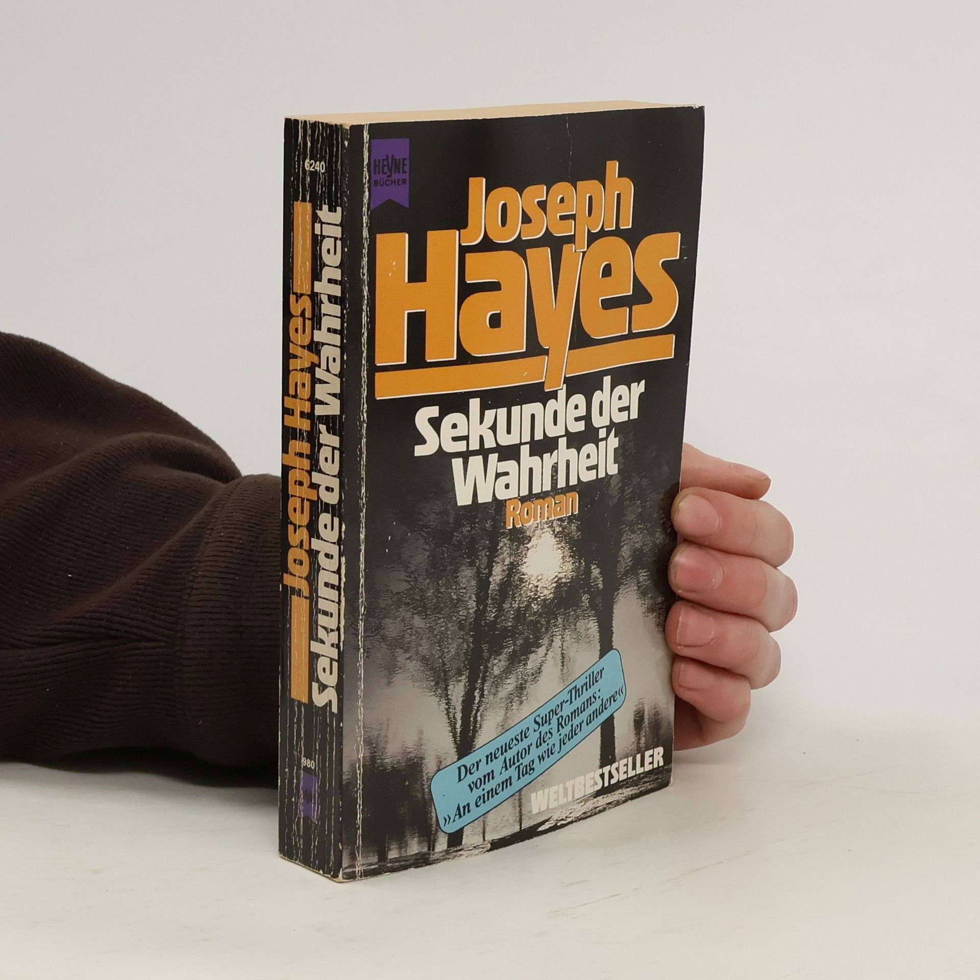 Joseph Hayes Sekunde der Wahrheit