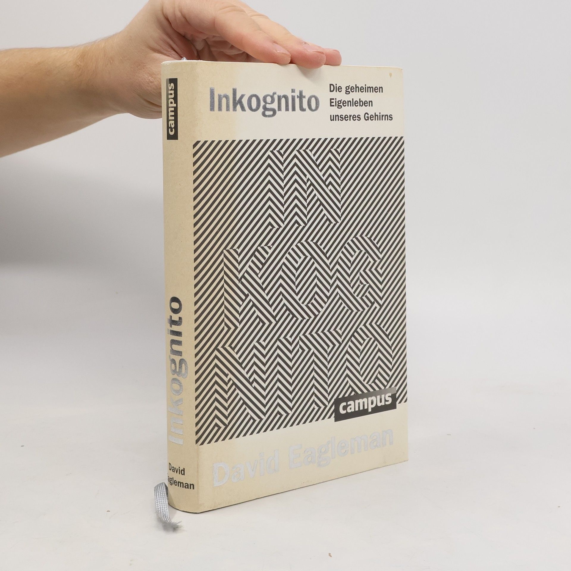 David Eagleman Inkognito