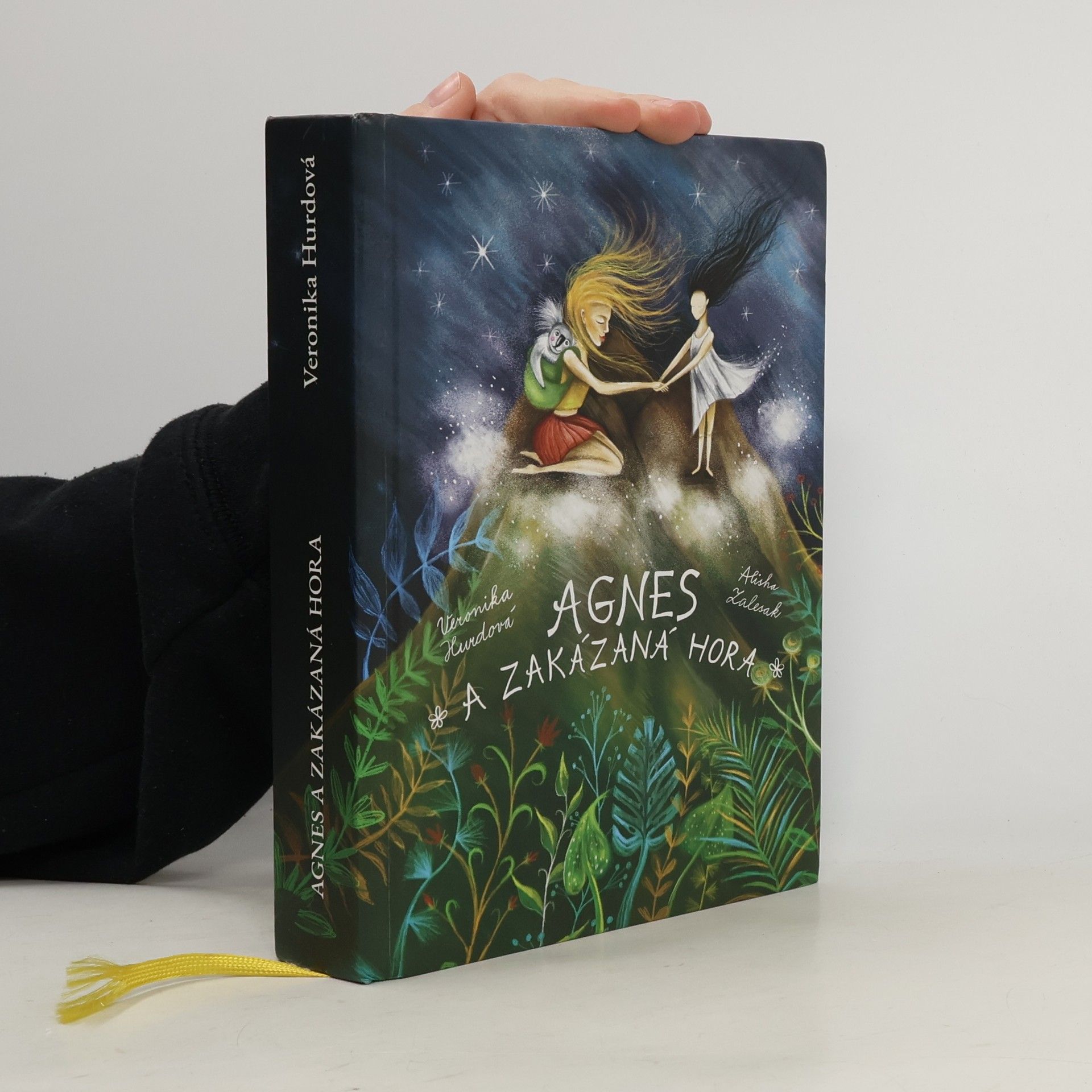 Veronika Hurdová Agnes a Zakázaná hora