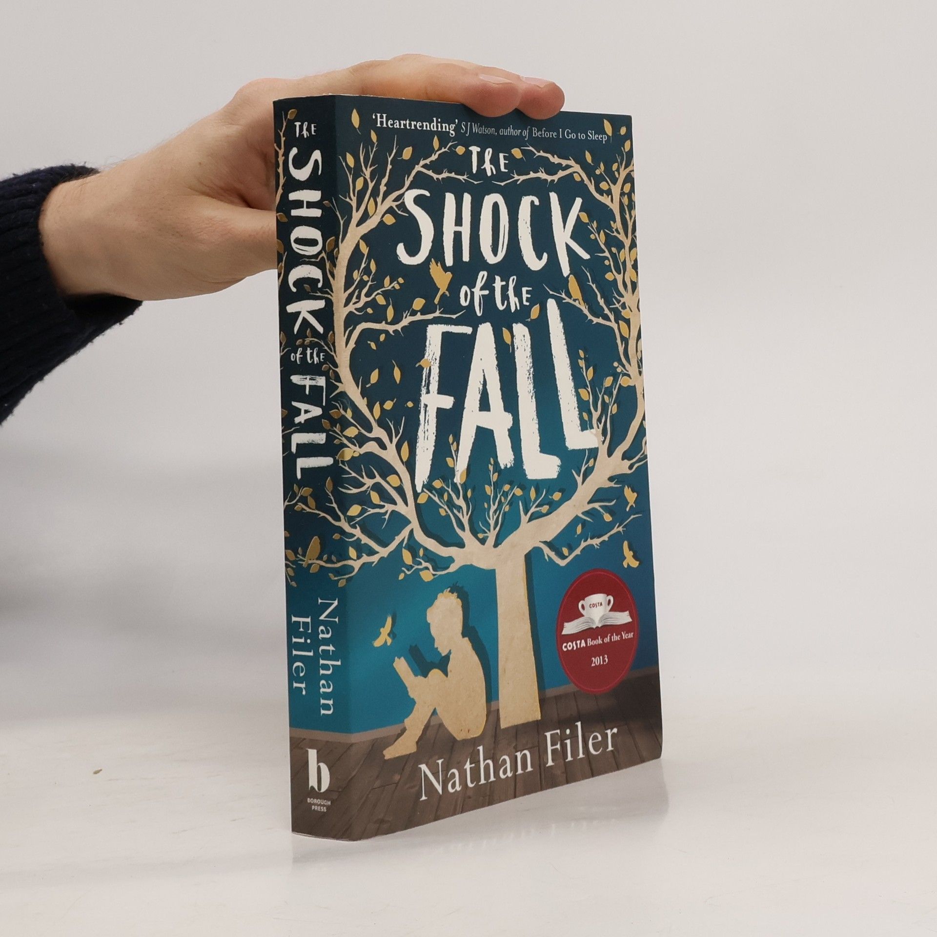 Nathan Filer The shock of the fall