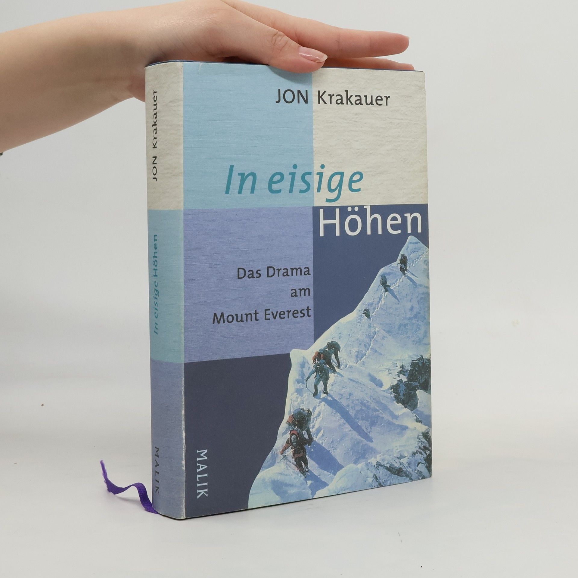 Jon Krakauer In eisige Höhen