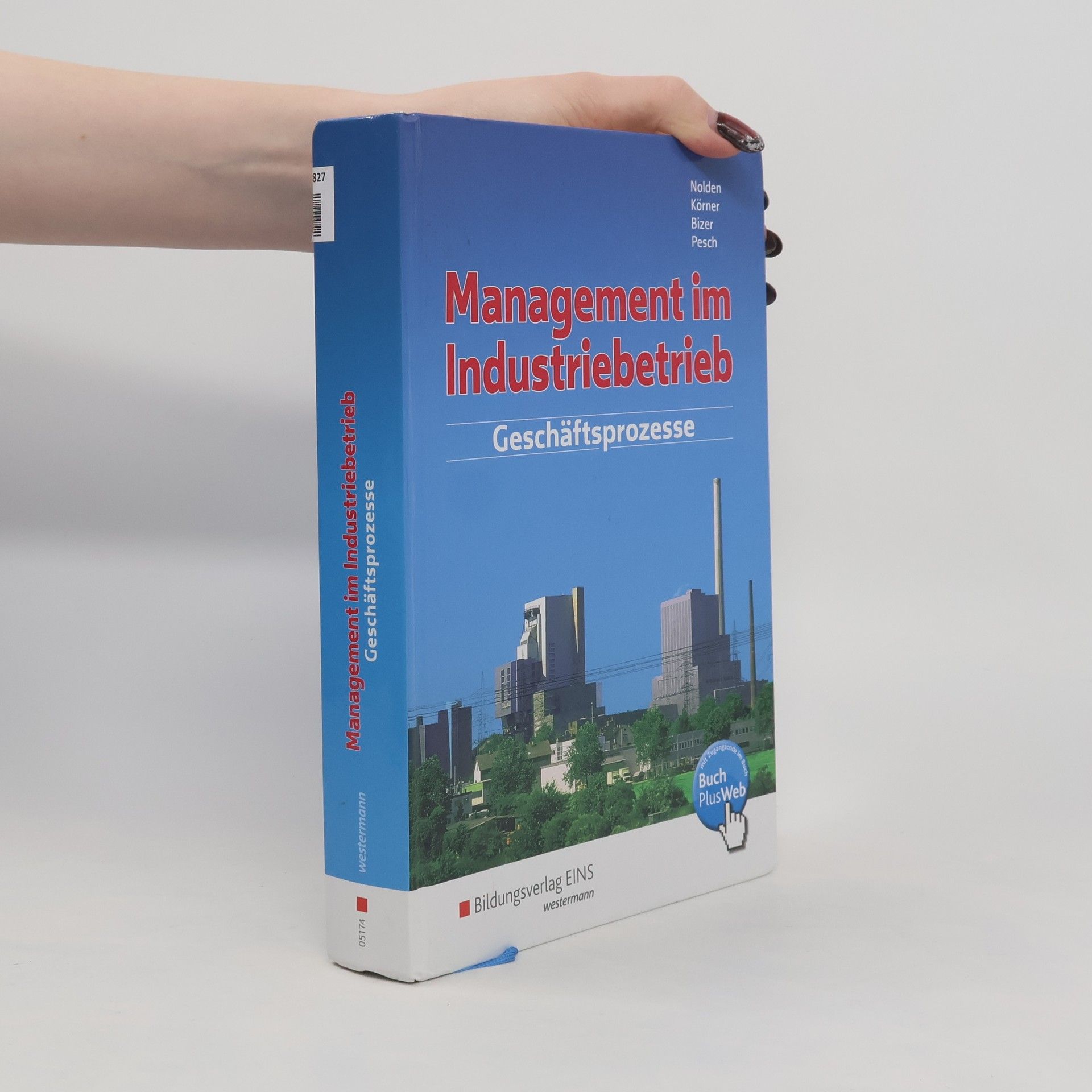 Management im Industriebetrieb