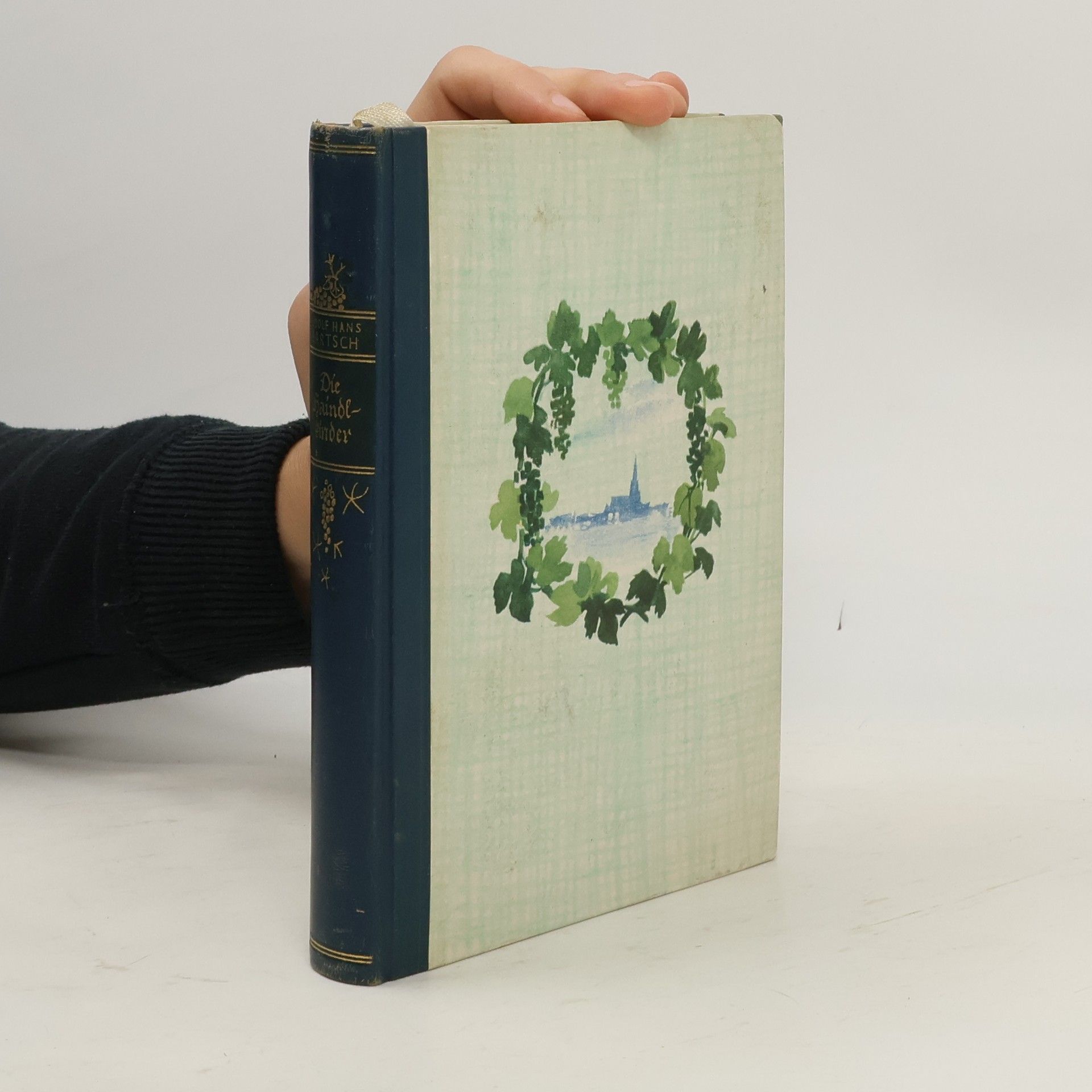 Rudolf Hans Bartsch Die Haindlkinder