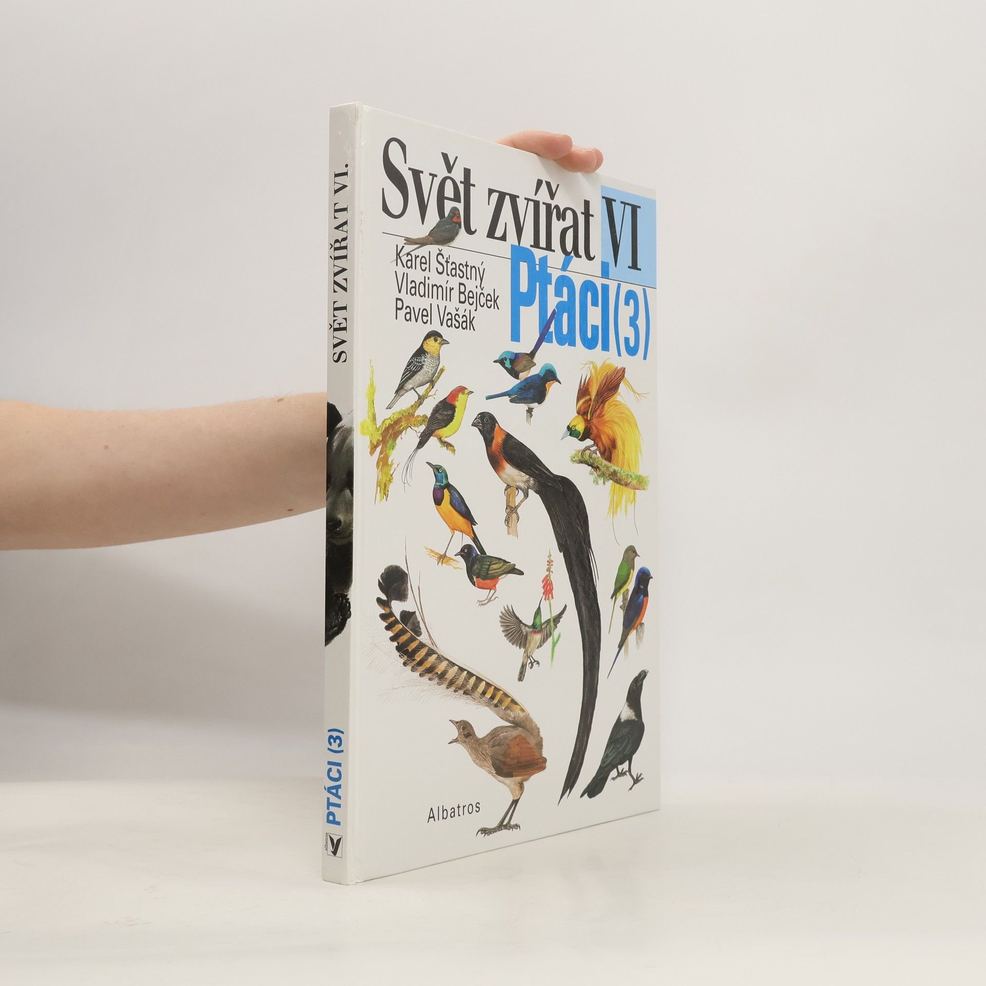 Svět zvířat : VI. Ptáci (3) Pěvci