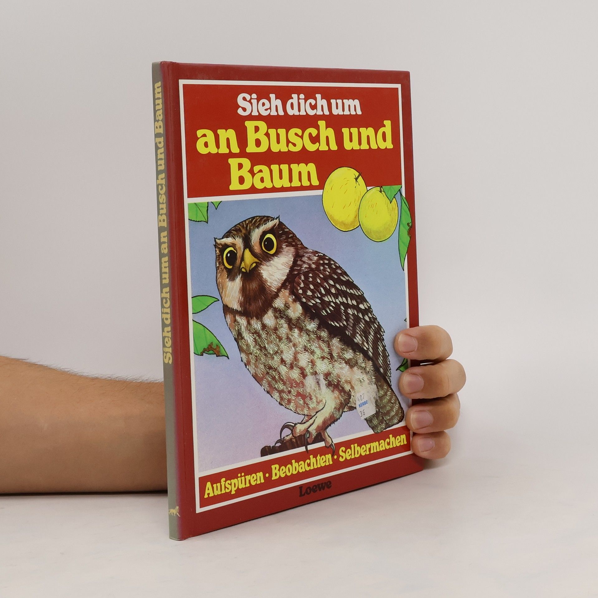 Kolektiv autorů Sieh dich um an Busch und Baum