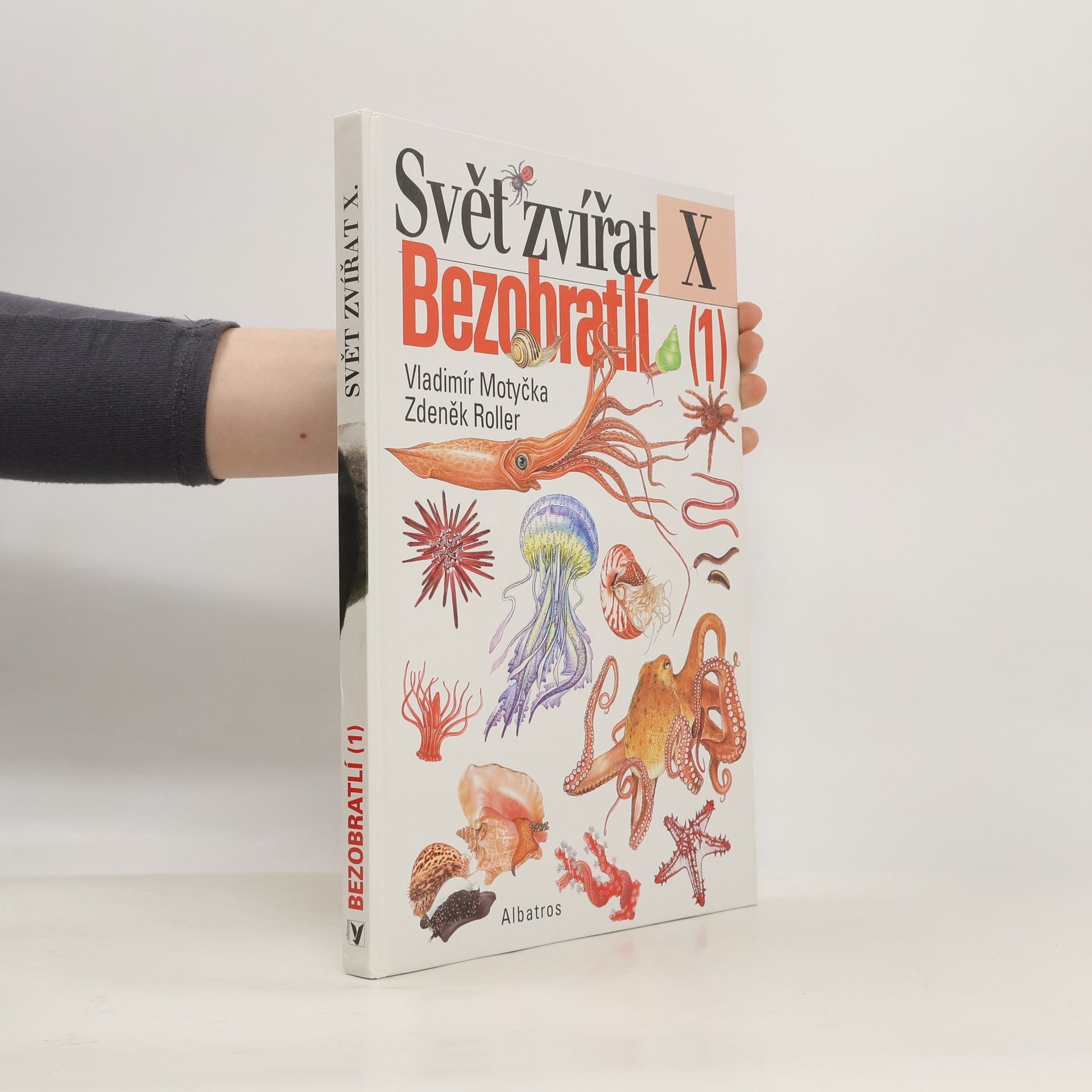 Vladimír Motyčka Svět zvířat X. Bezobratlí