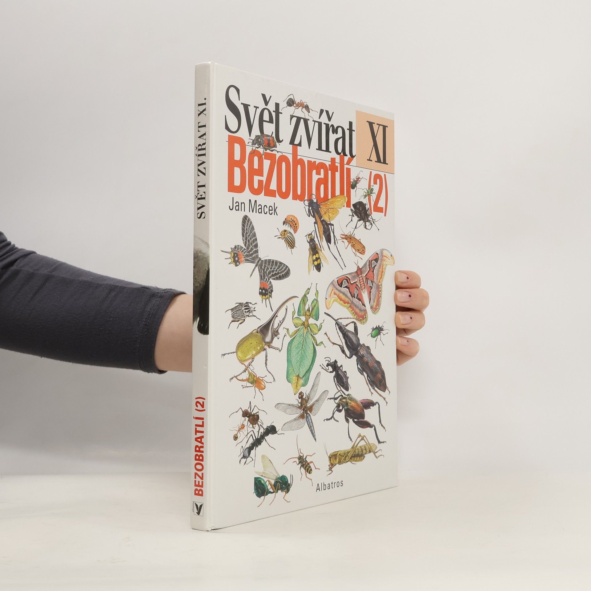 Jan Macek Svět zvířat XI - Bezobratlí 2