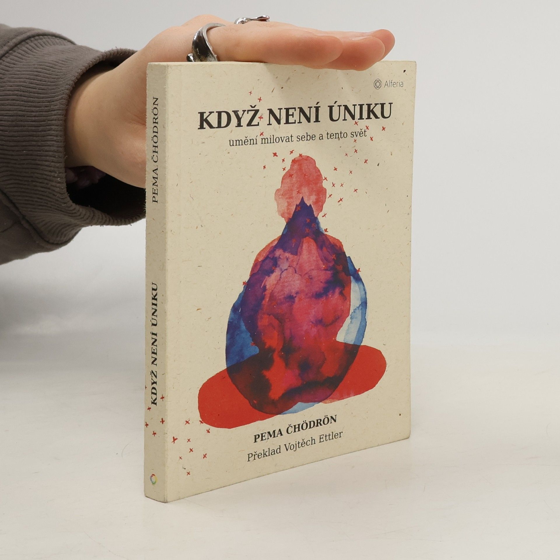 Pema Chödrön Když není úniku: Umění milovat sebe a tento svět