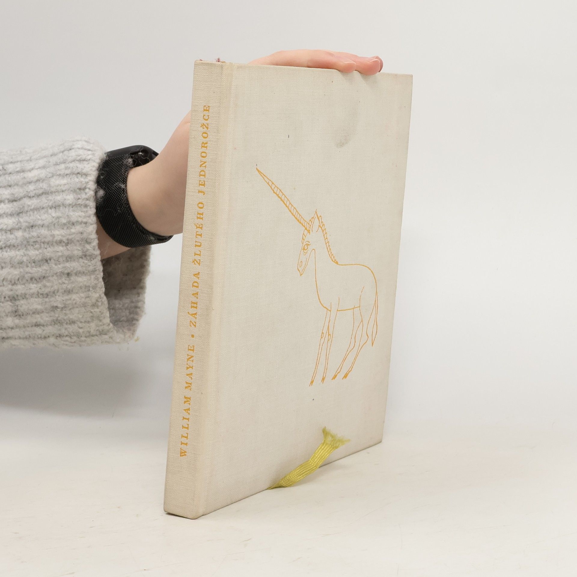 William Mayne Záhada žlutého jednorožce