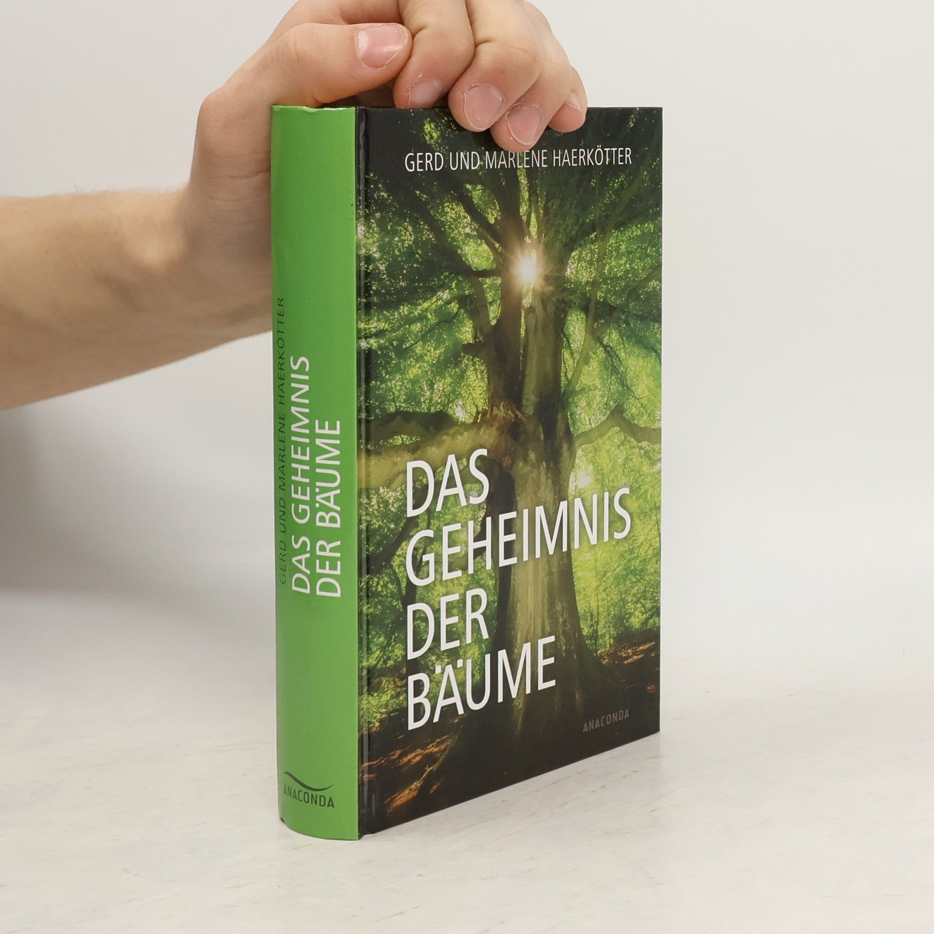 Das Geheimnis der Bäume