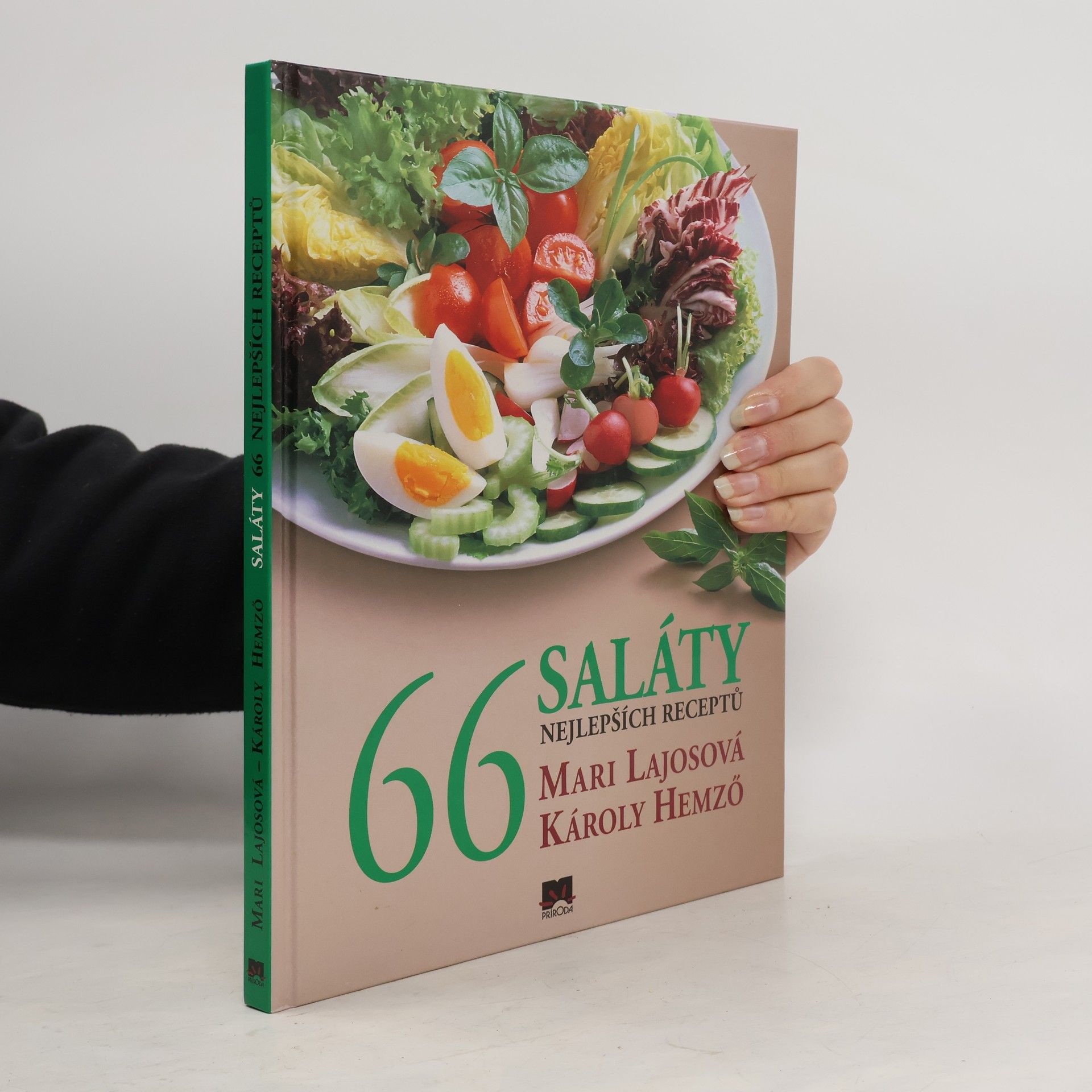 Mari Lajos Saláty - 66 nejlepších receptů