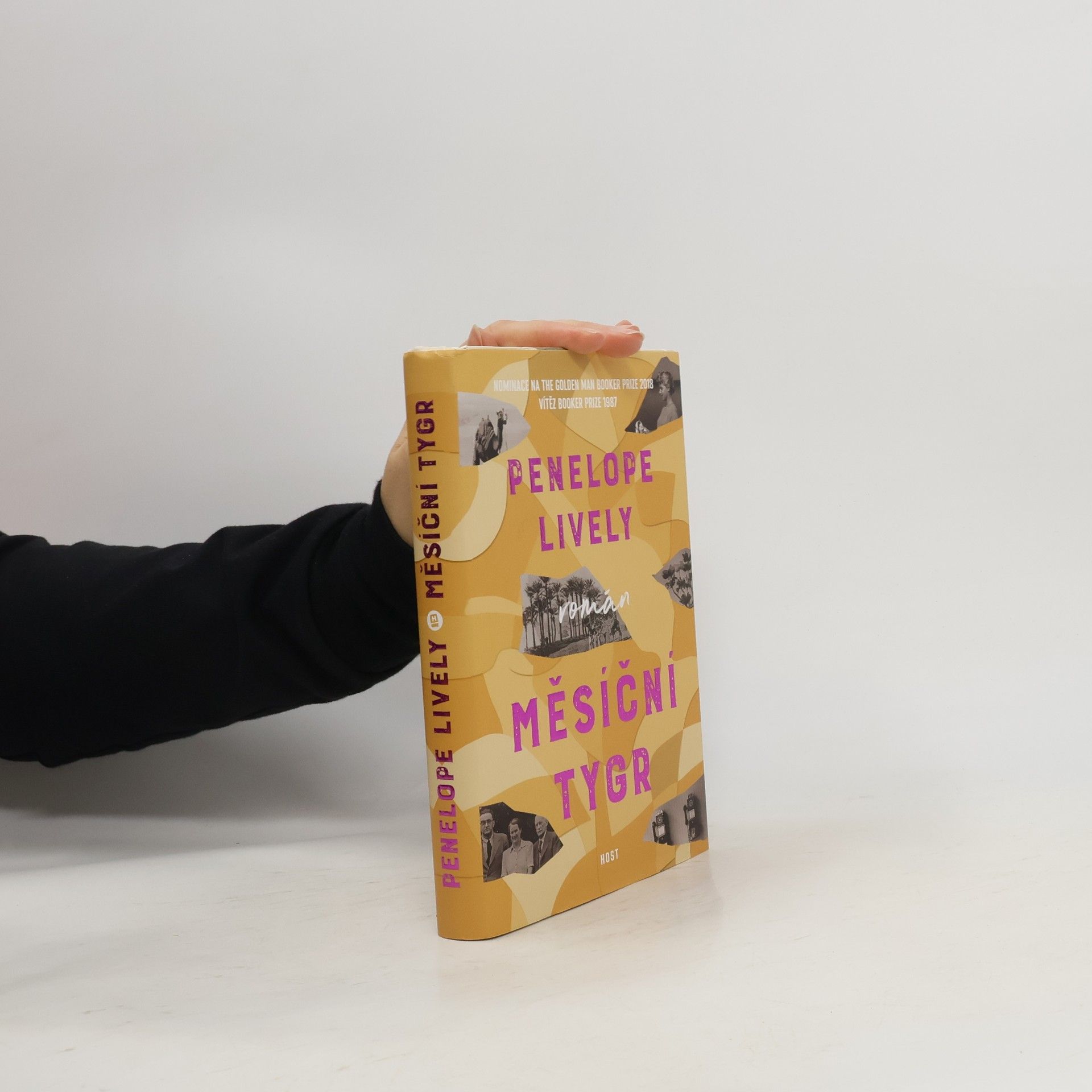 Penelope Lively Měsíční tygr