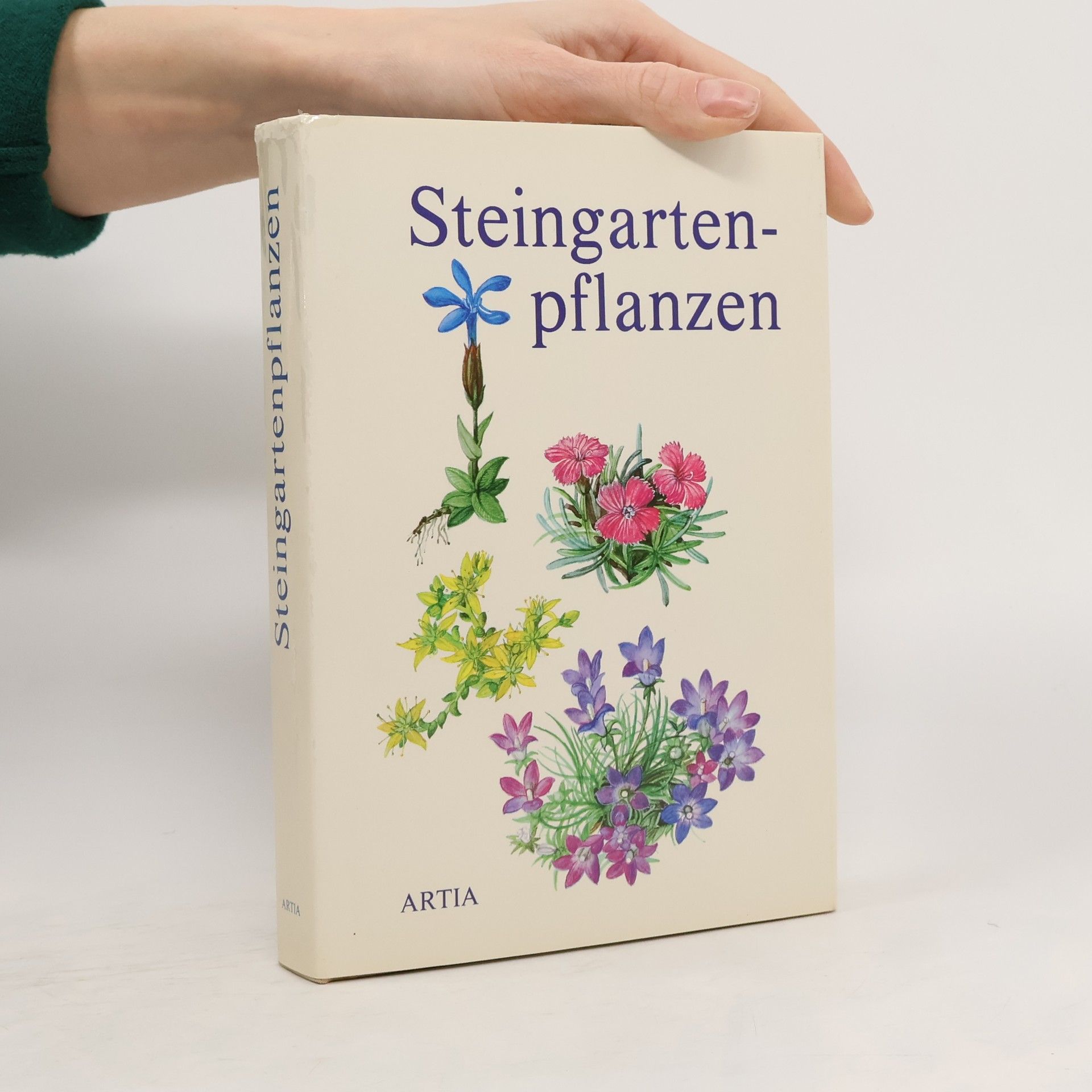 Vlasta Vodičková Steingartenpflanzen