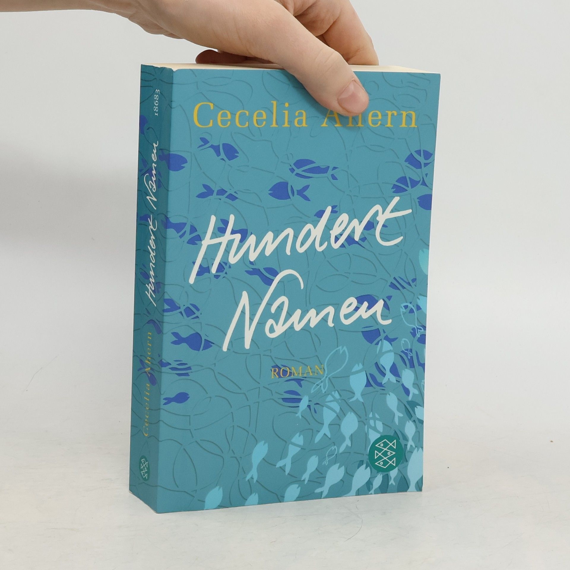 Cecelia Ahern Hundert Namen