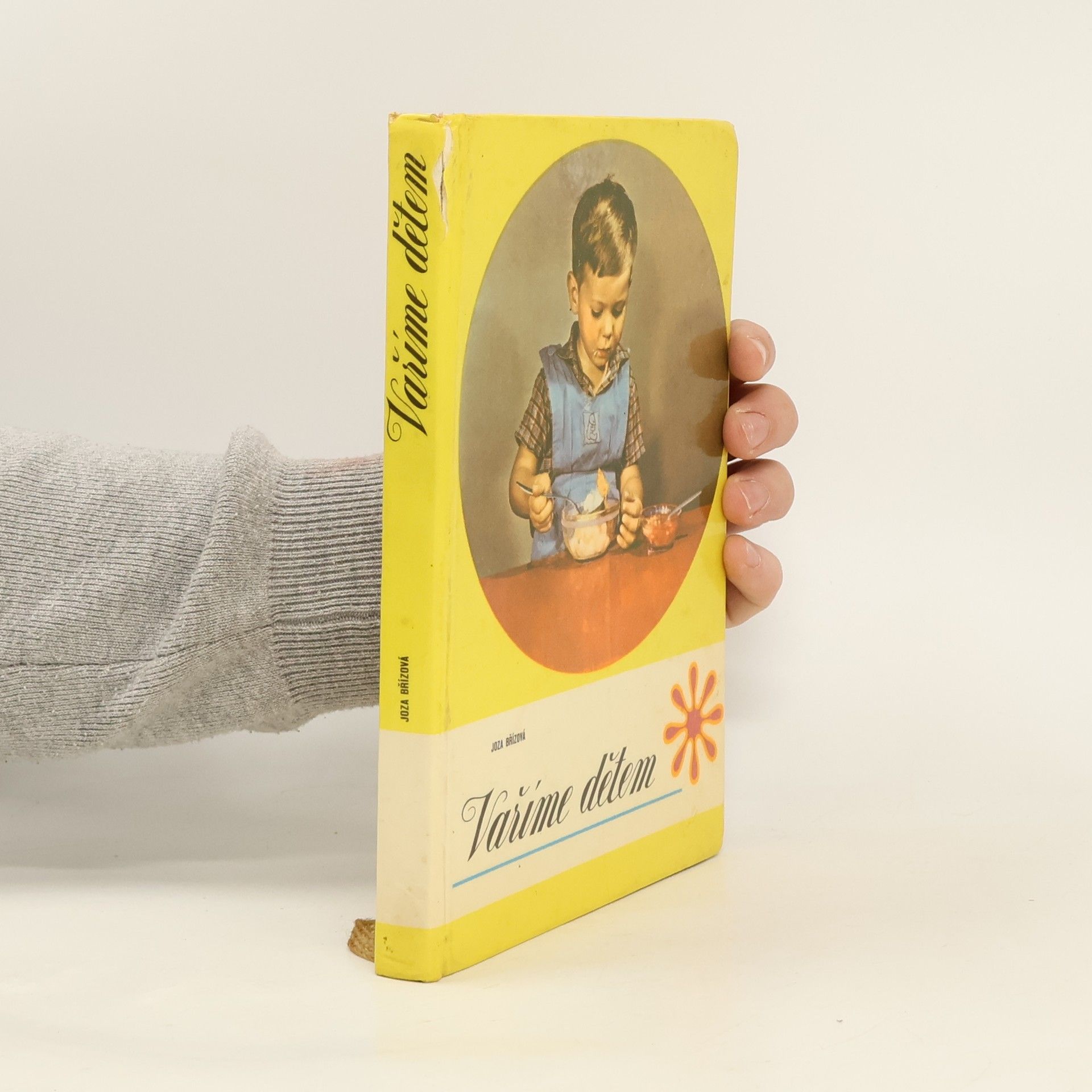 Joza Břízová Vaříme dětem