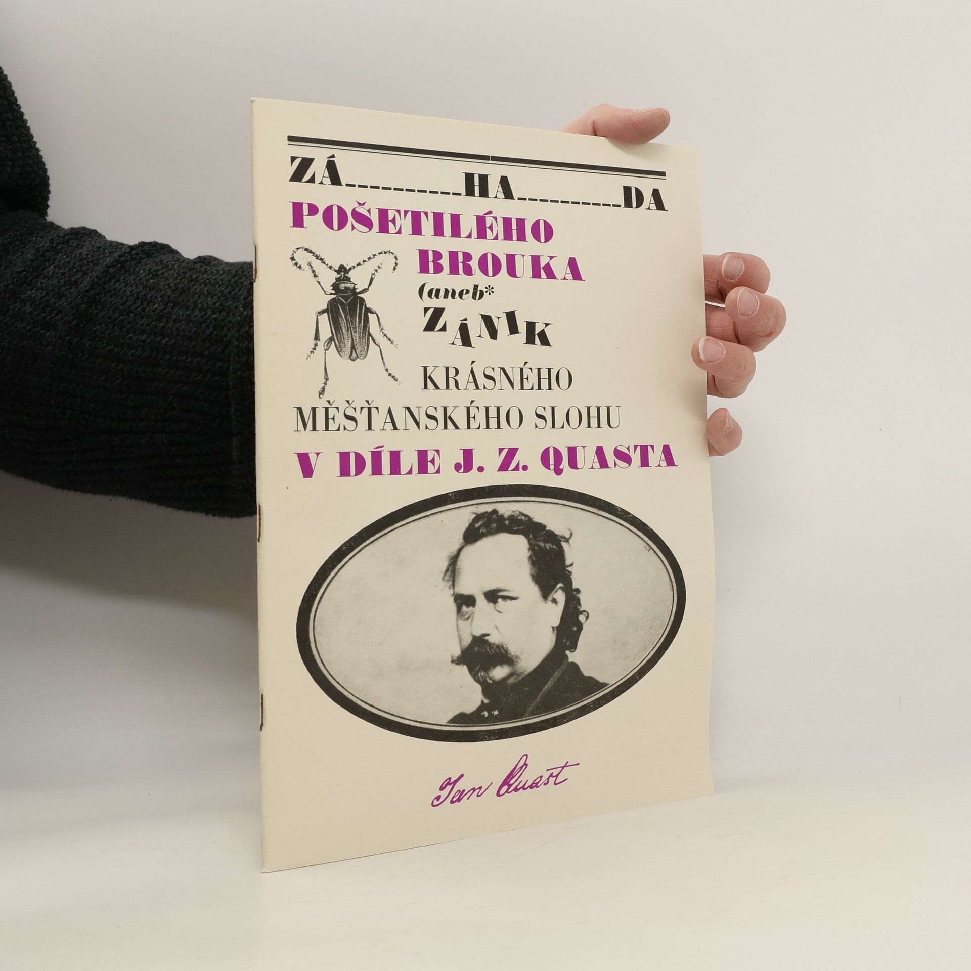 Autores varios Záhada pošetilého brouka aneb Zánik krásného měšťanského stolu v díle J. Z Quasta